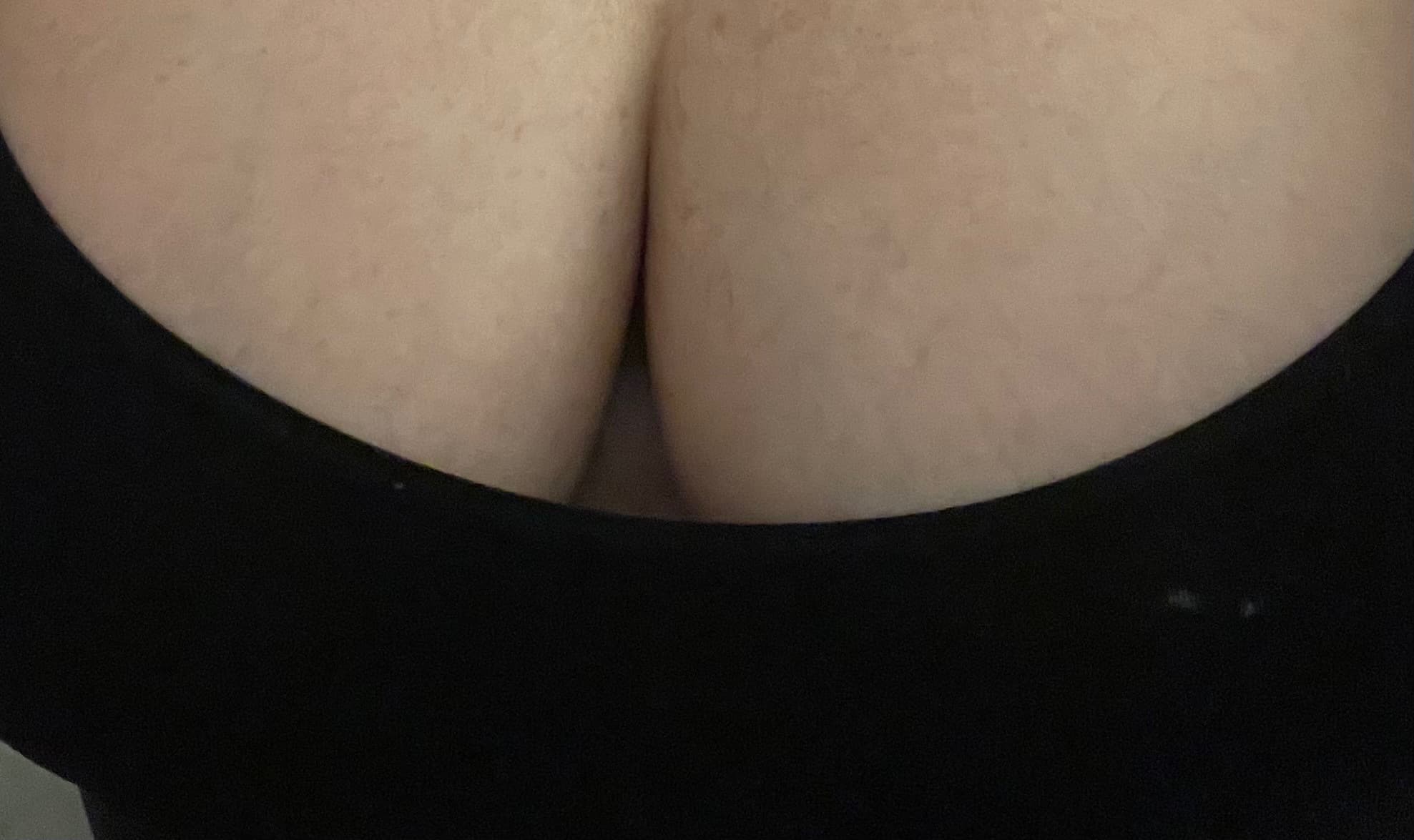 Bumbellina Bliss banner image