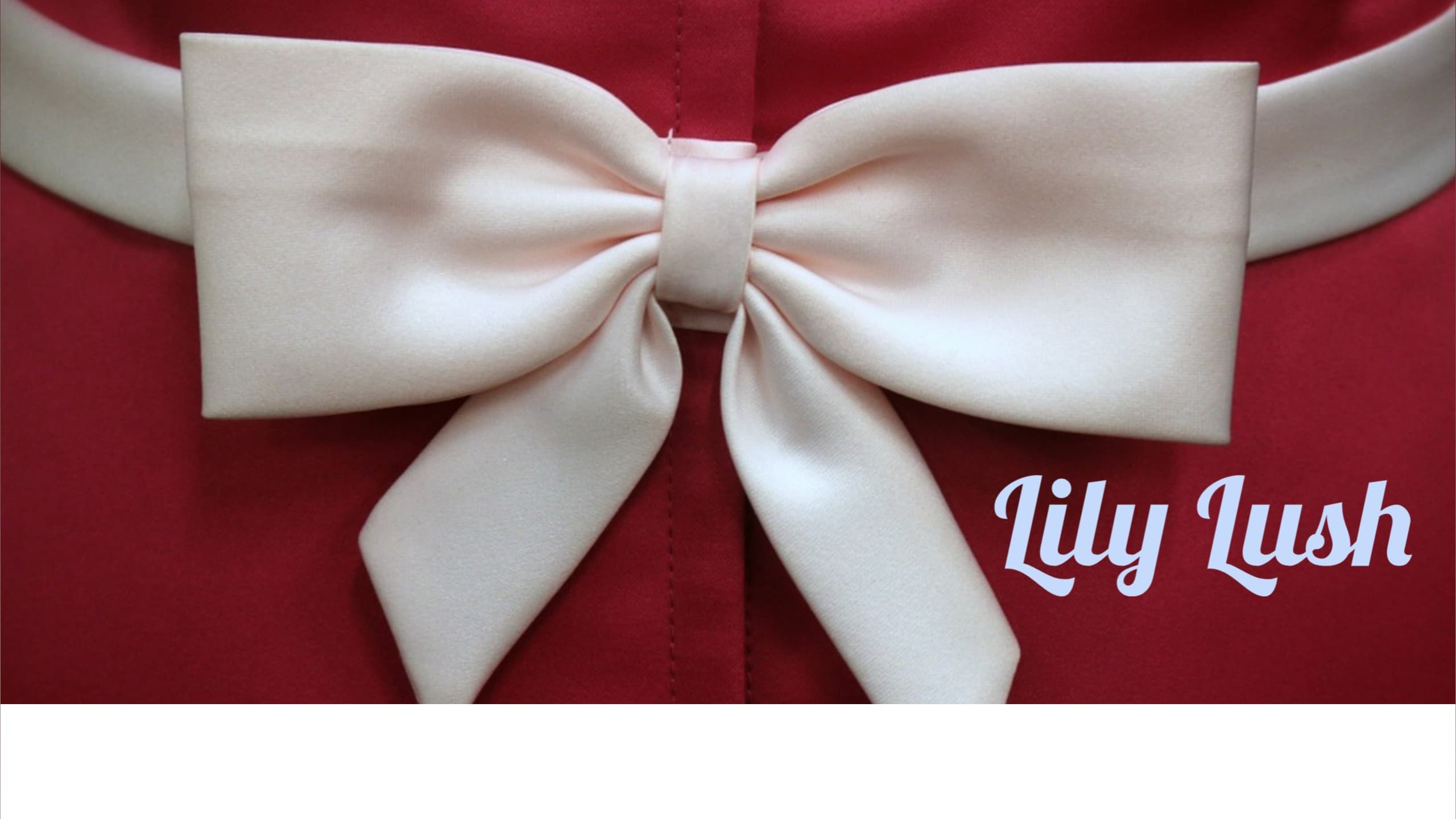 Lily Lush banner image