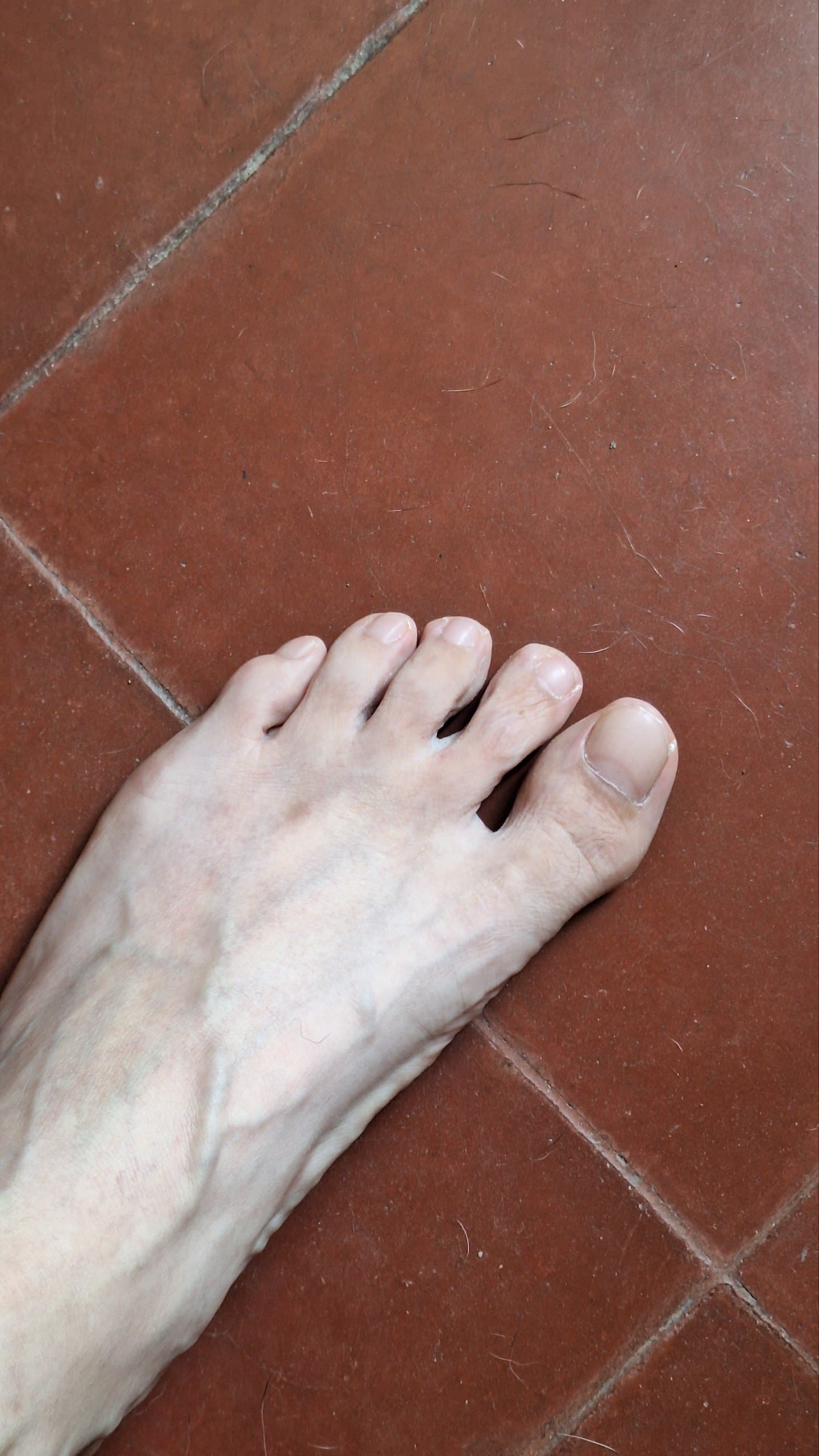 Mis pies banner image