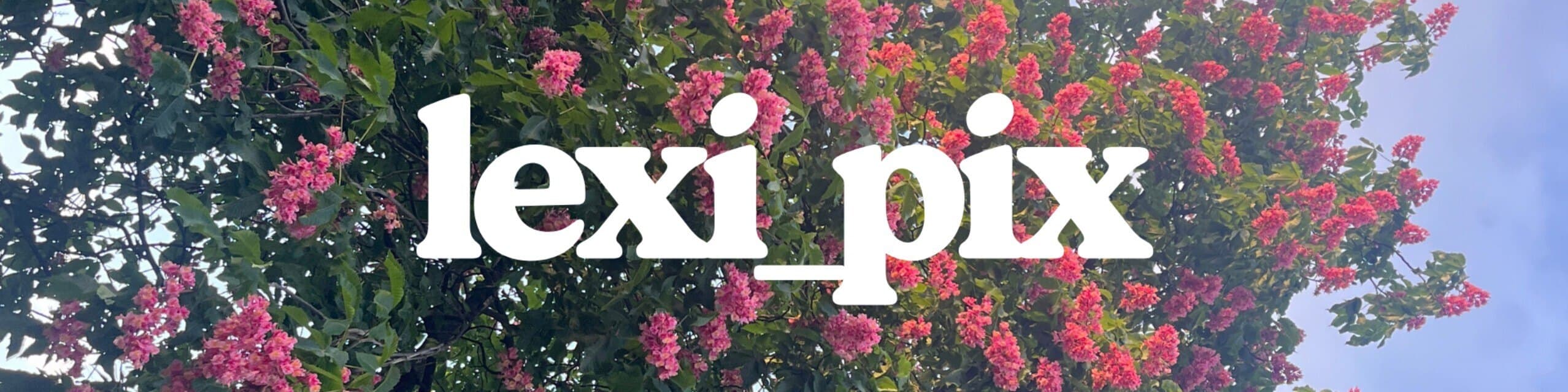 lexi πΊβοΈ banner image