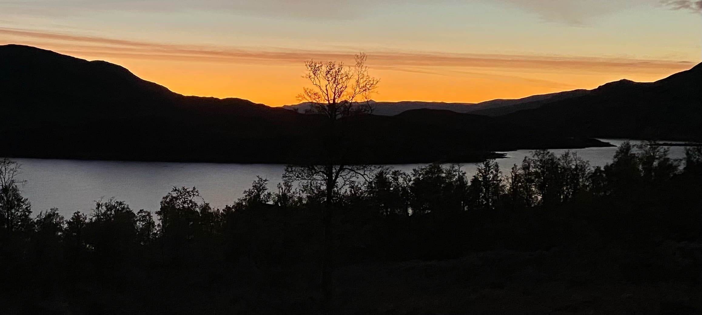 Jordie banner image