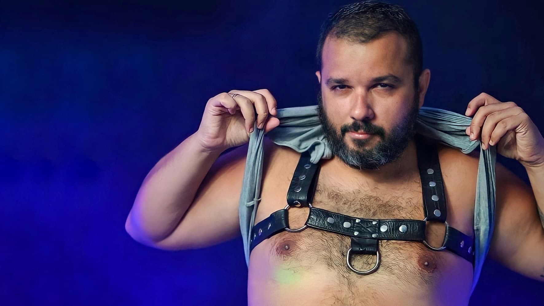 BearBrazilSpain banner image