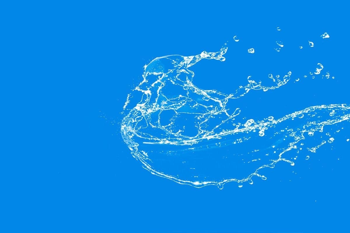 Sniccaz banner image