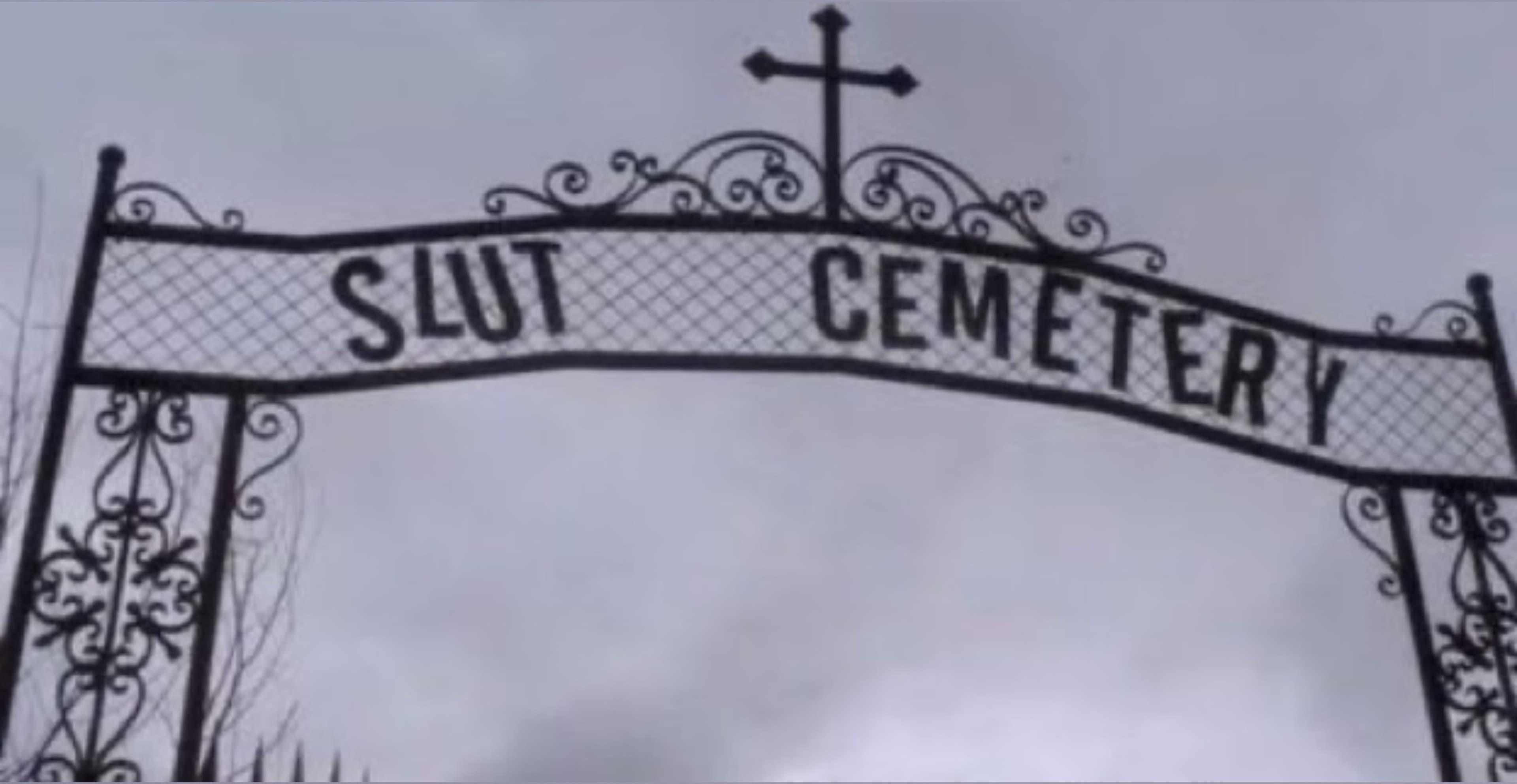 Moth banner image