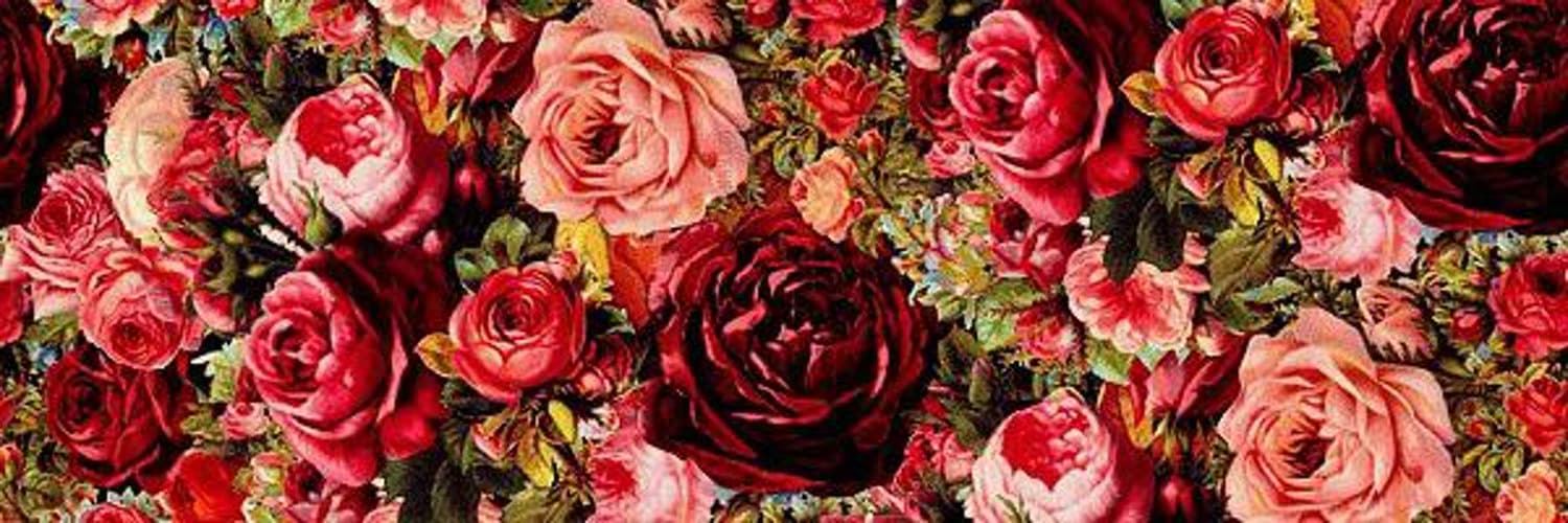 daniela bermudez banner image