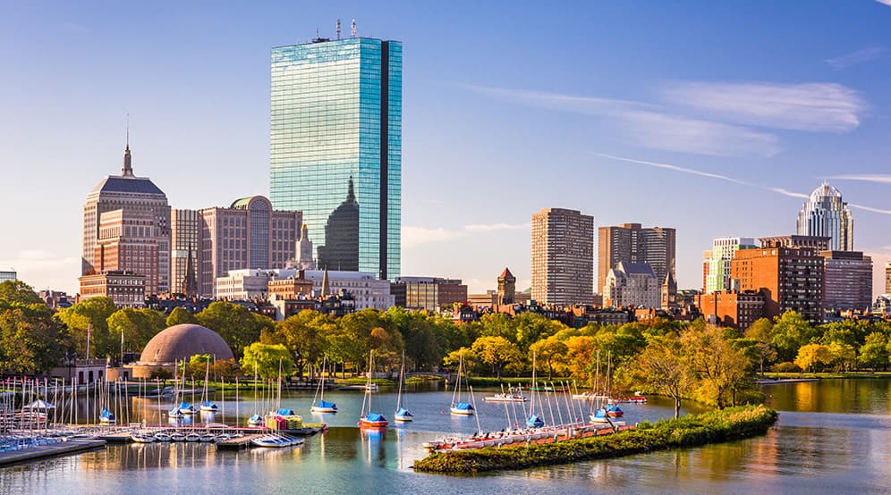 Boston BJ Dick banner image