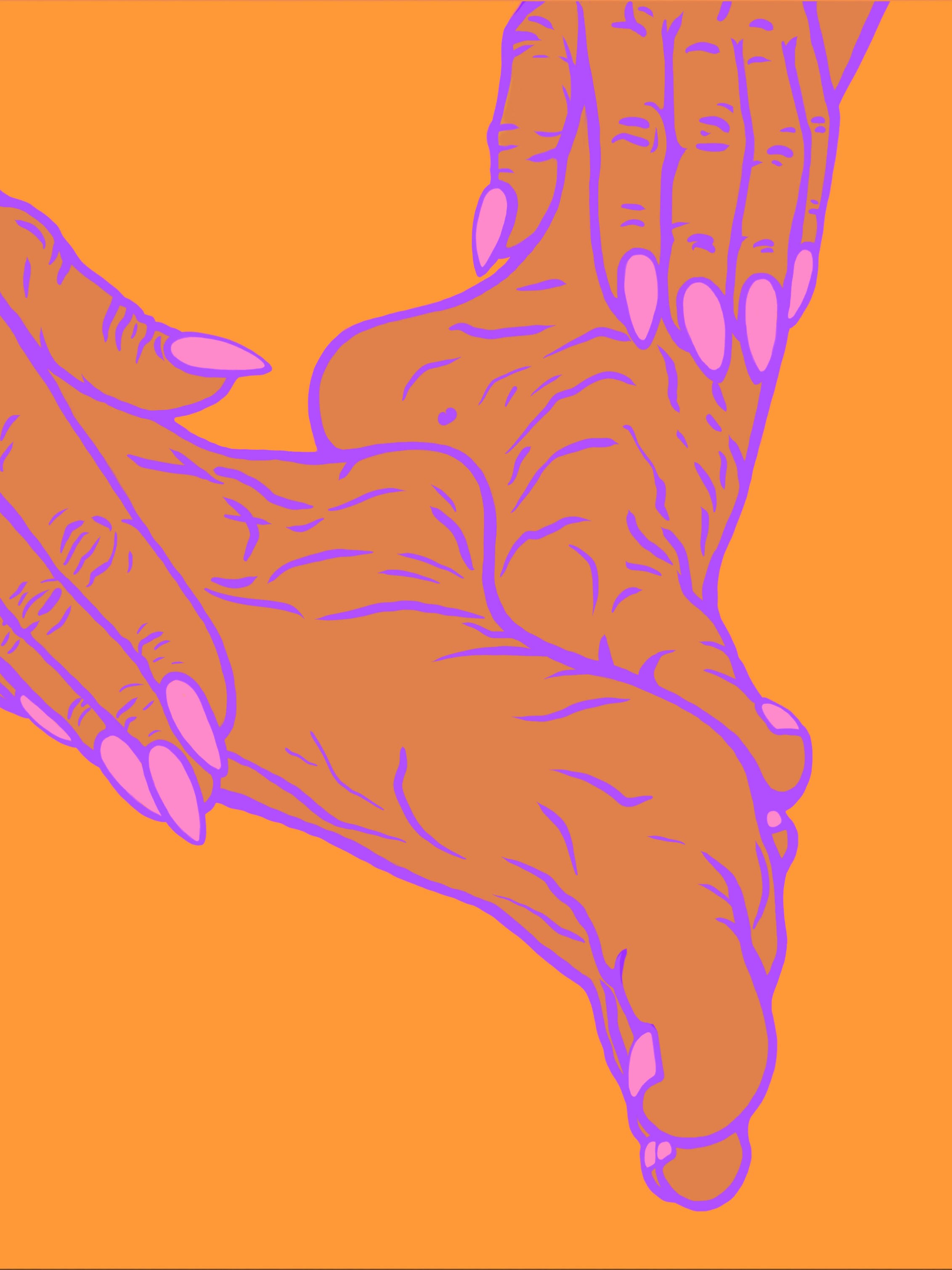 Belle Miele banner image