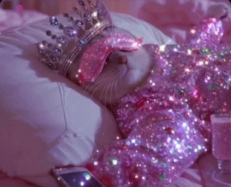 ✨Daya✨ banner image