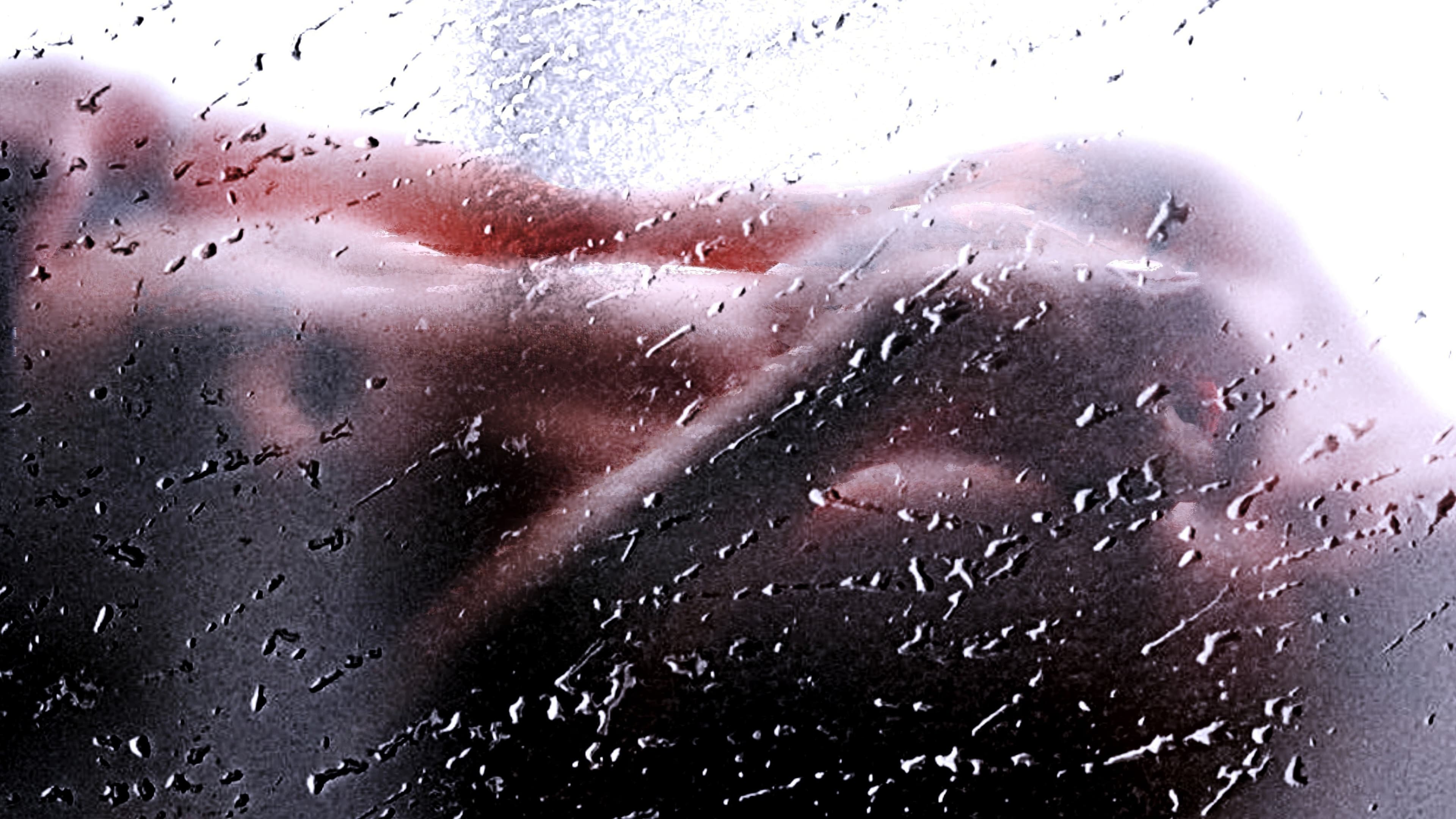 Carlos Mujica banner image