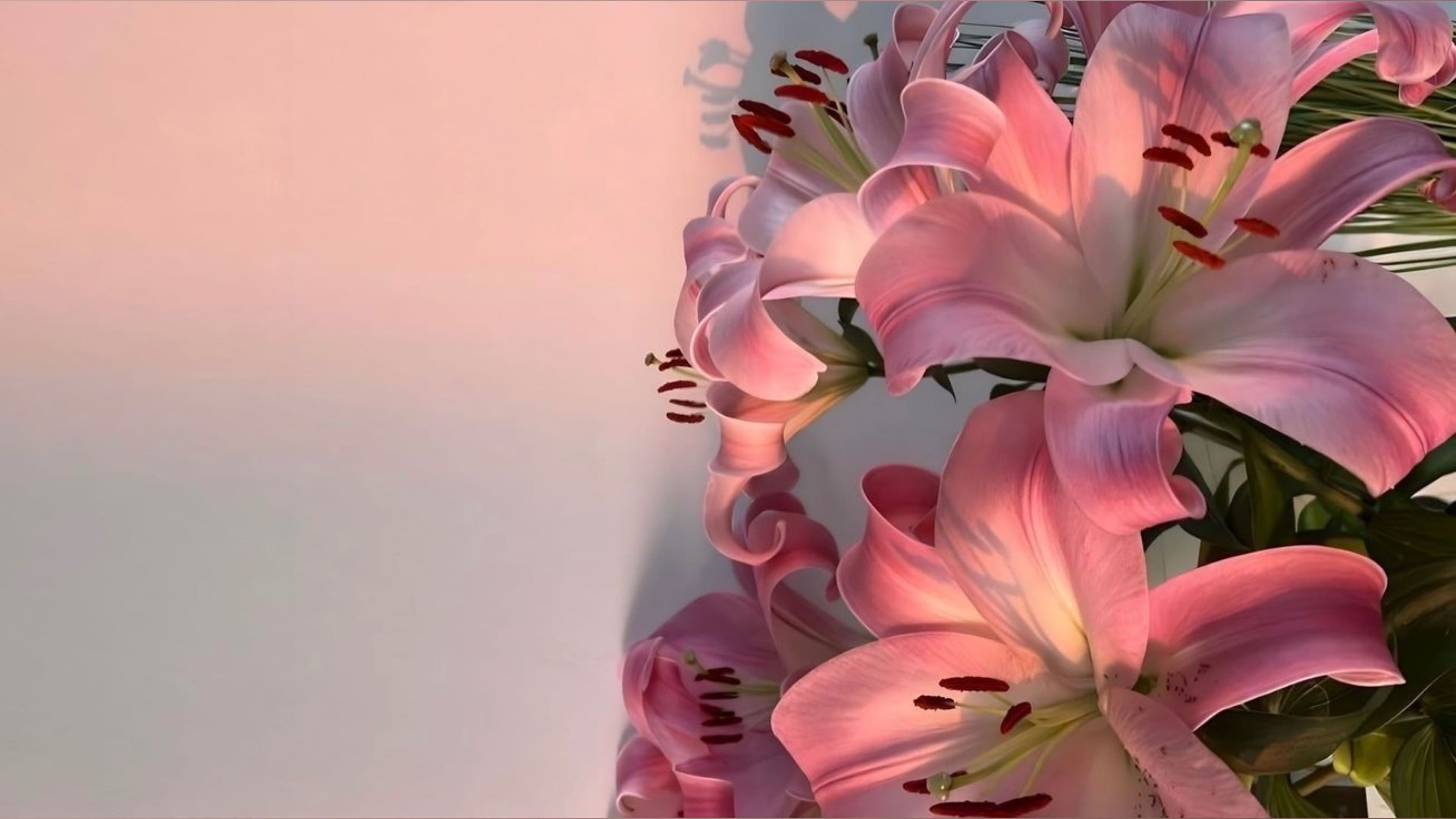 Freja Dahl banner image