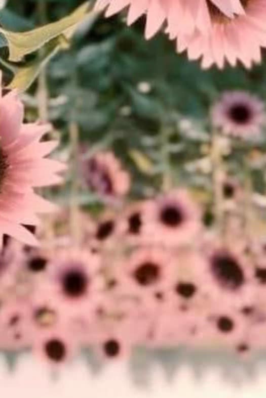 Pretty Jennyyy banner image
