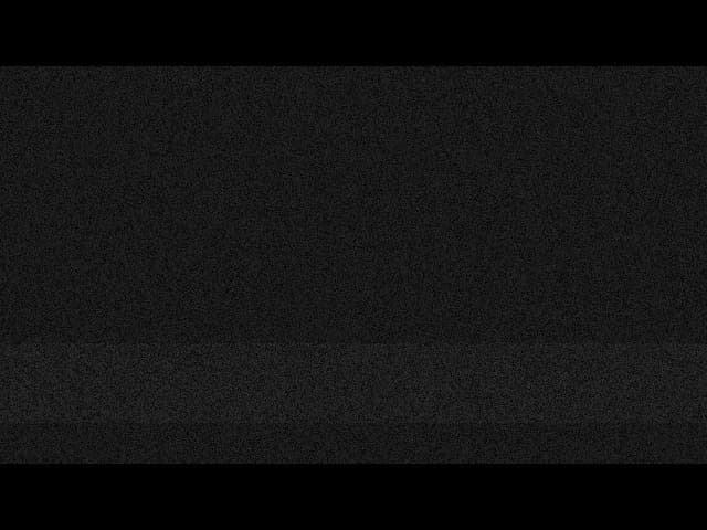 Holly_Fosterr banner image