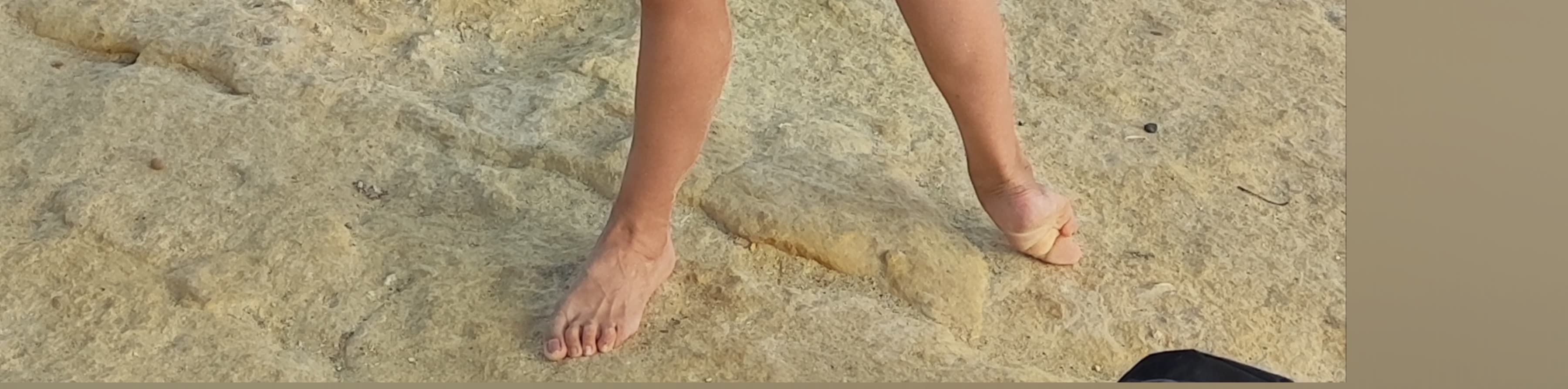 Janise banner image