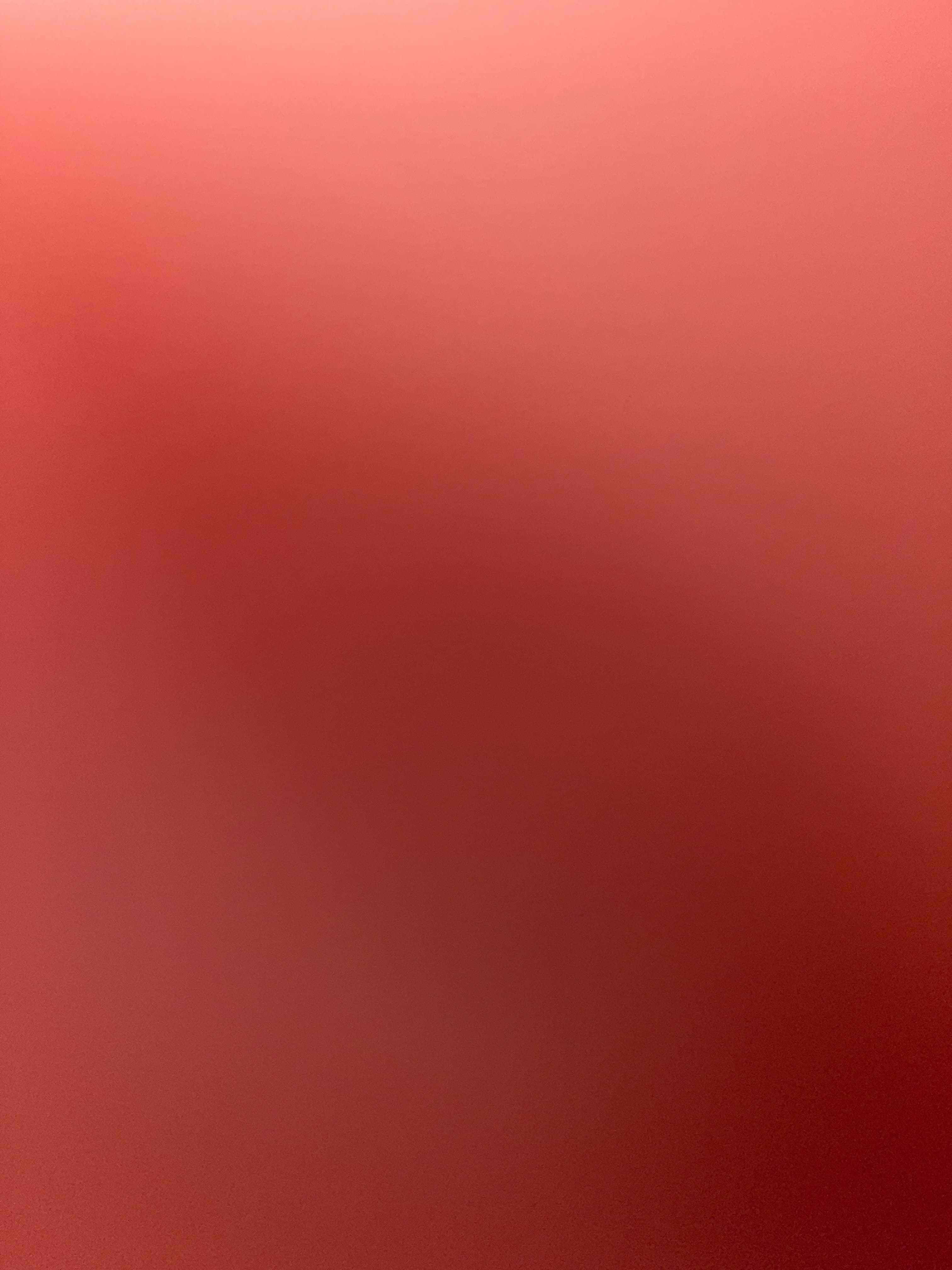 Raven banner image