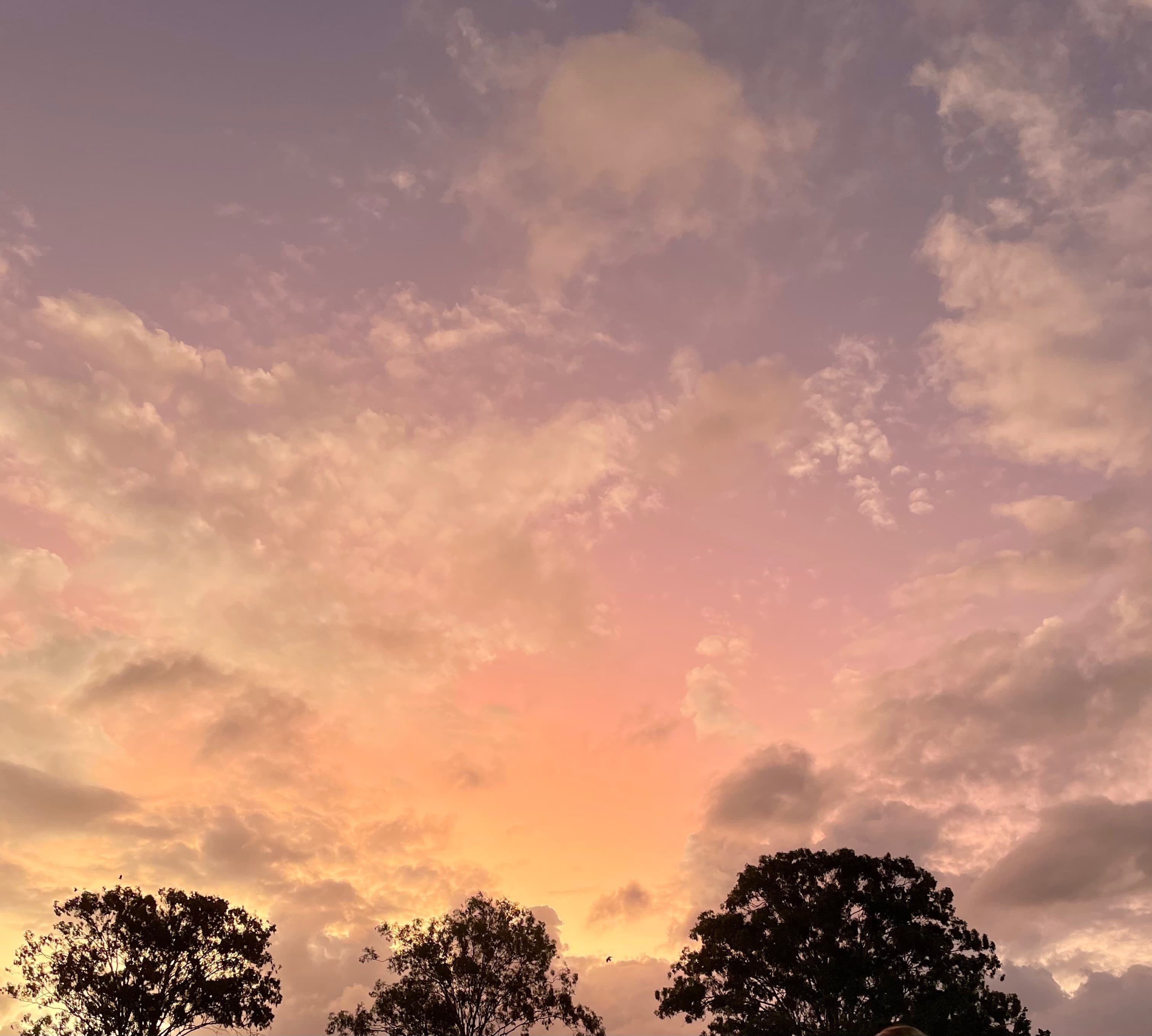 curvyygirl banner image