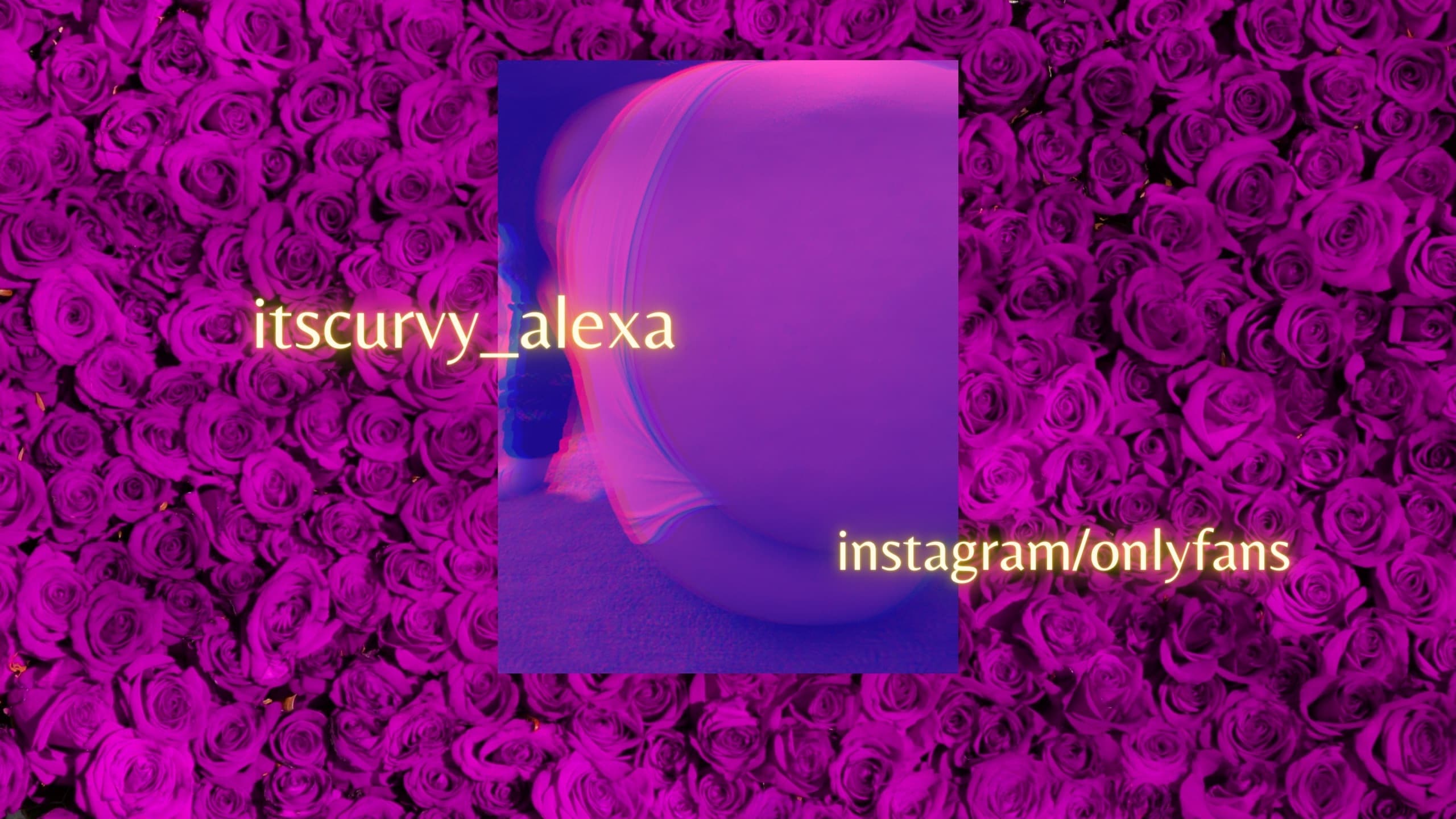 Alexa_Curvy banner image