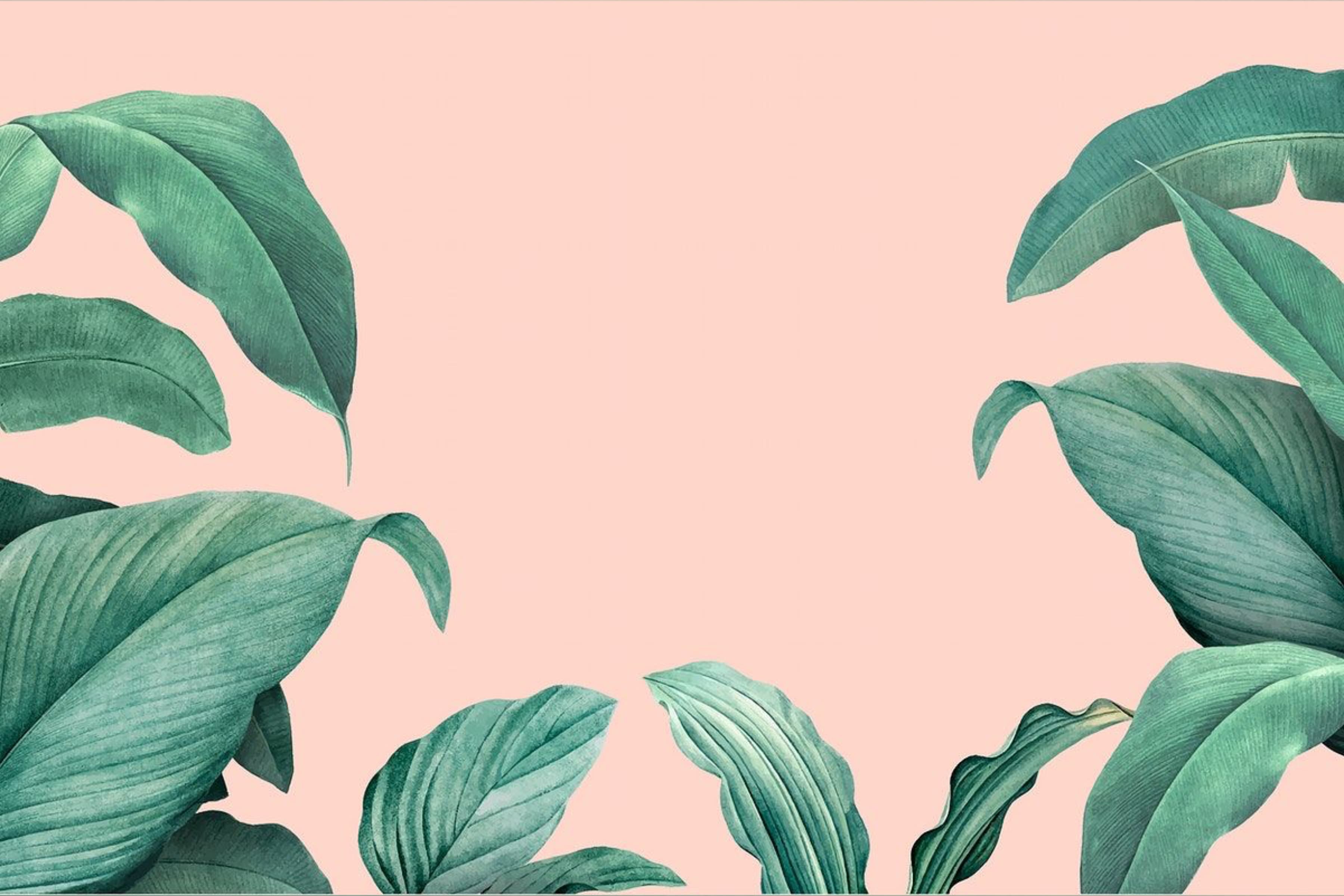 MsMariee banner image