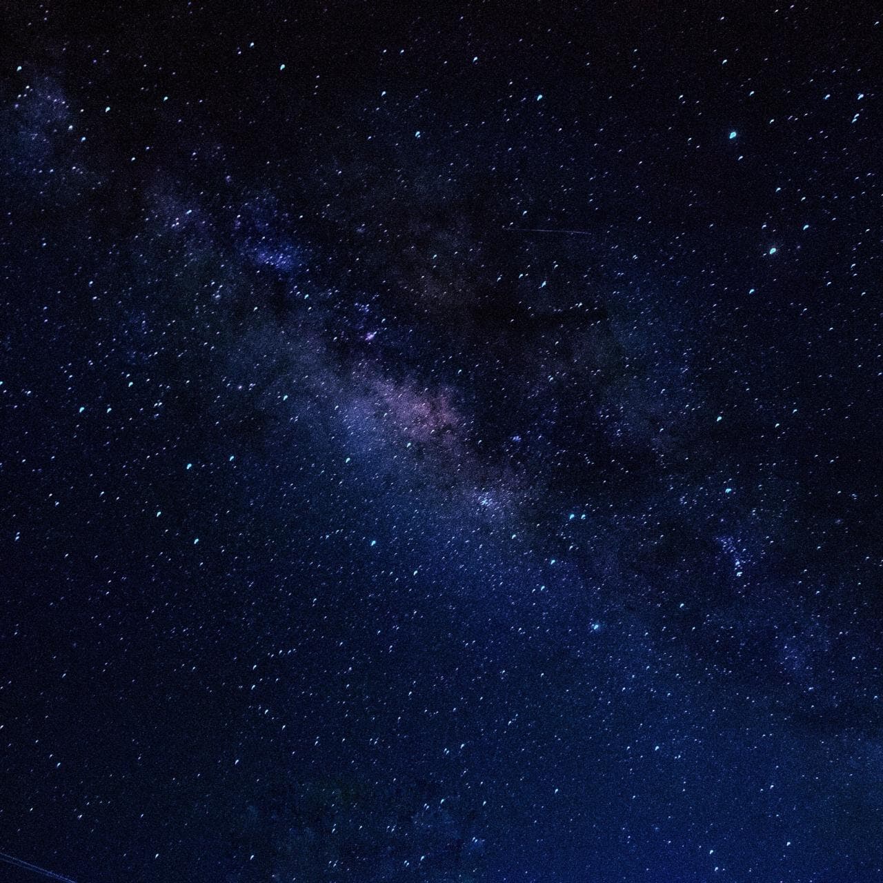 Julia Adams banner image