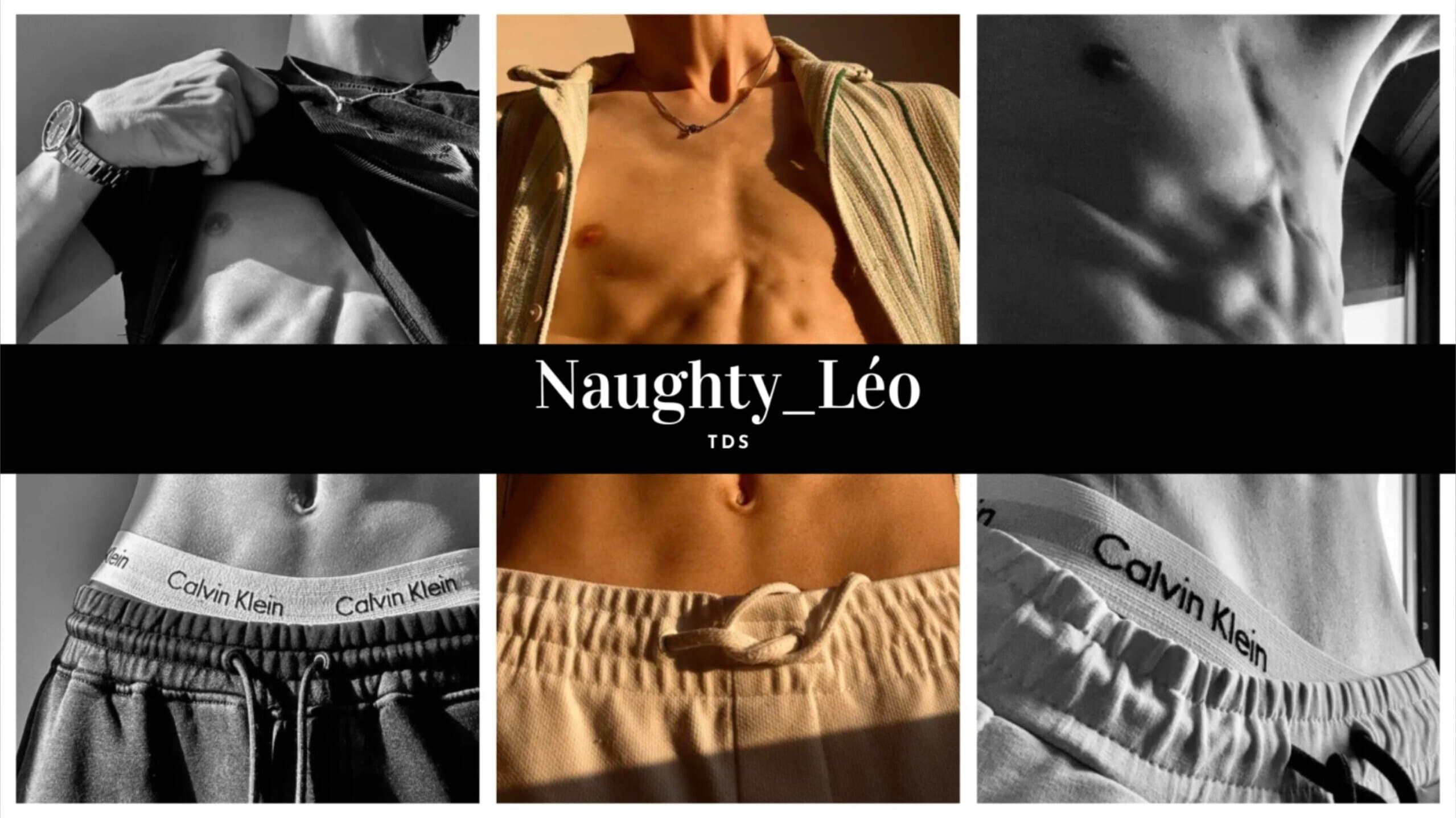Leo banner image