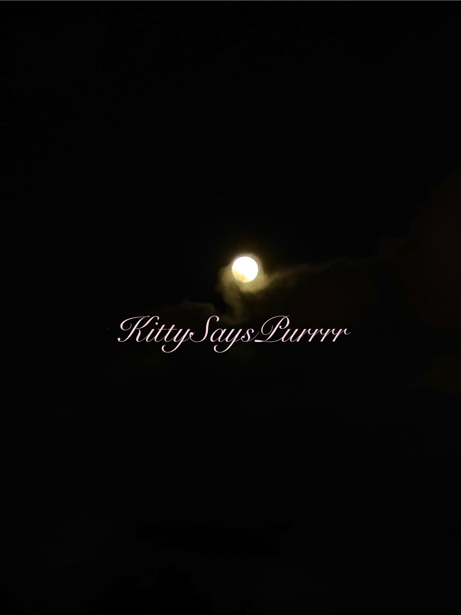 Kitty Gruff banner image