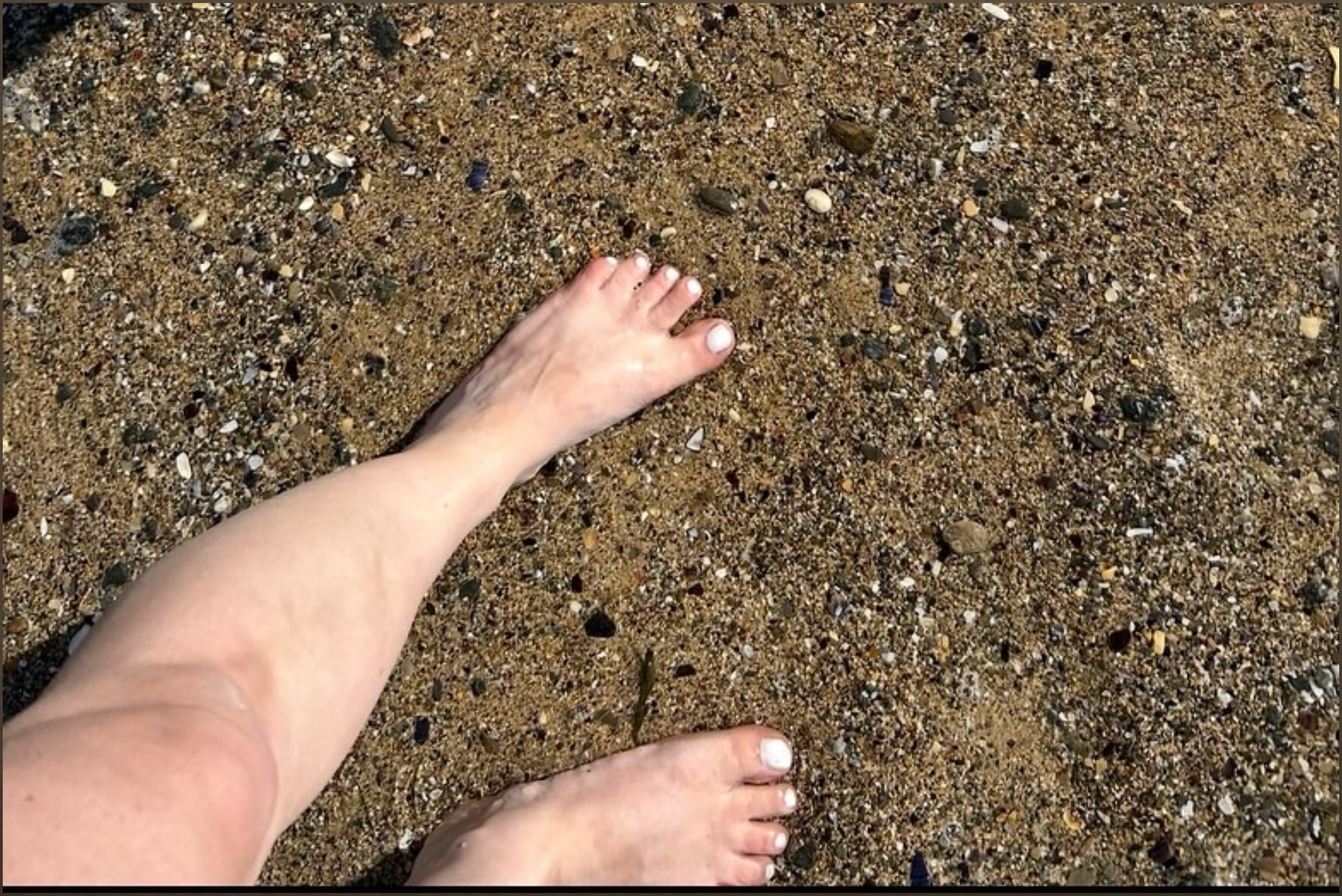 Kittie Feet banner image
