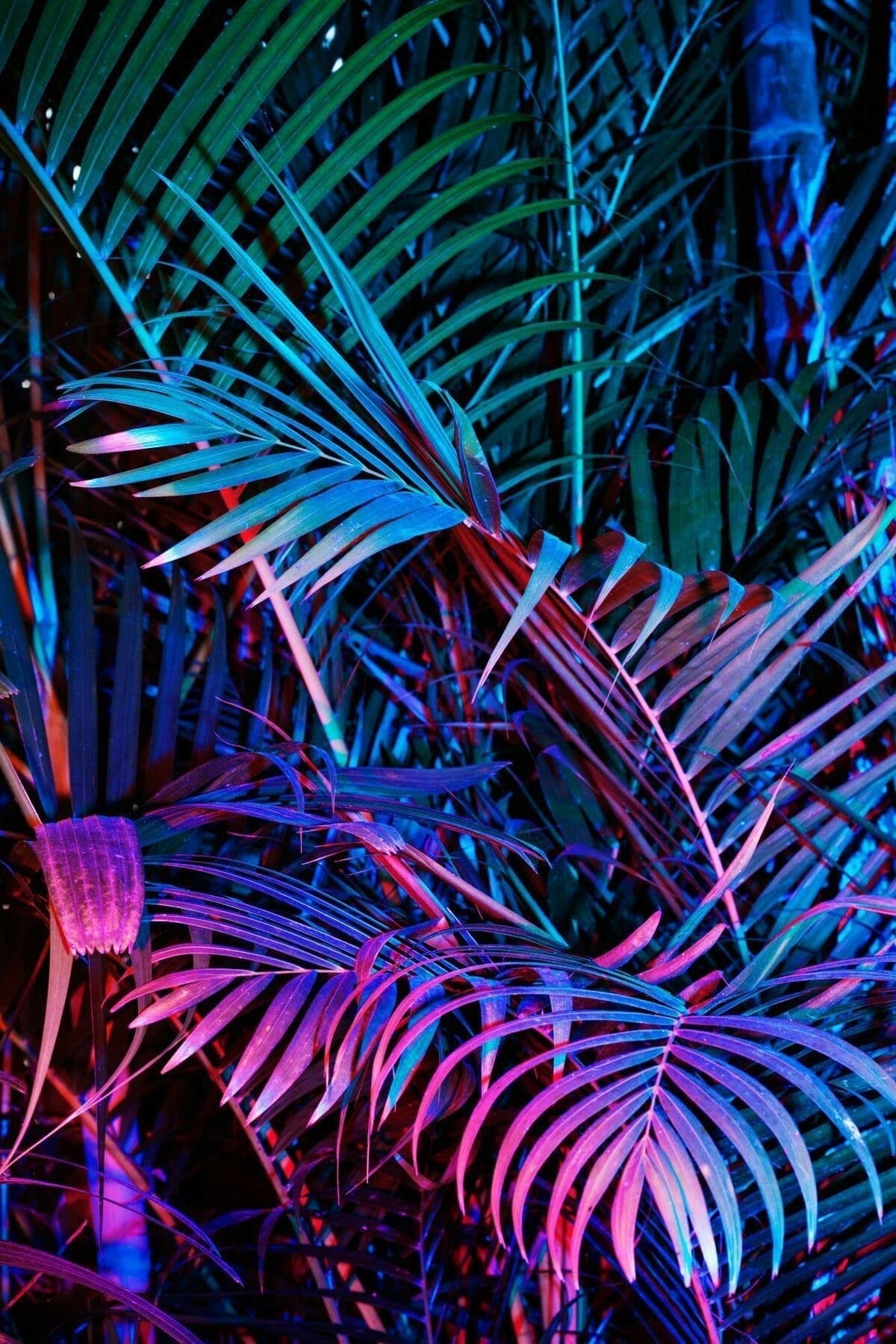 Kaysie_Tanner banner image