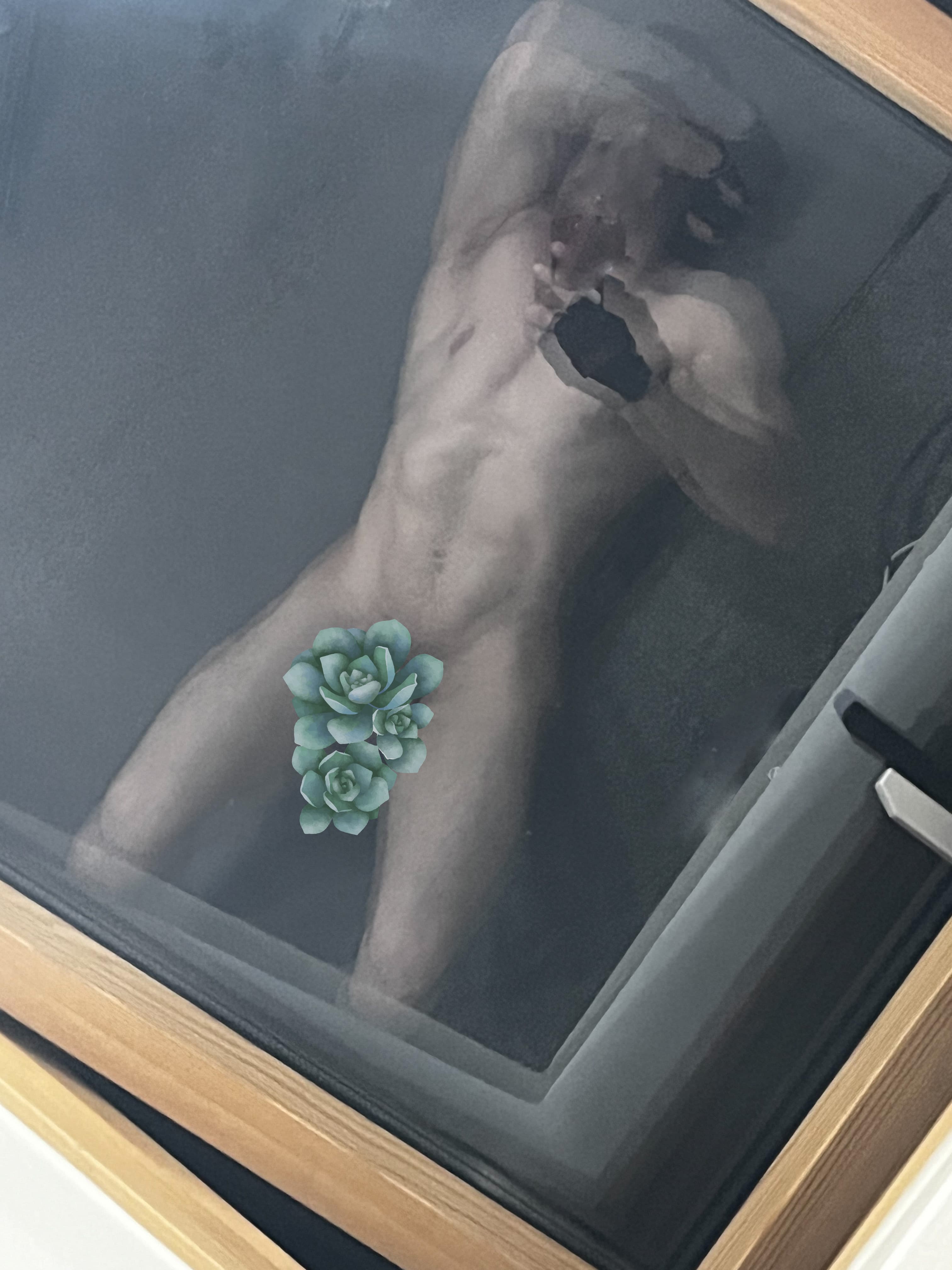 Paco banner image