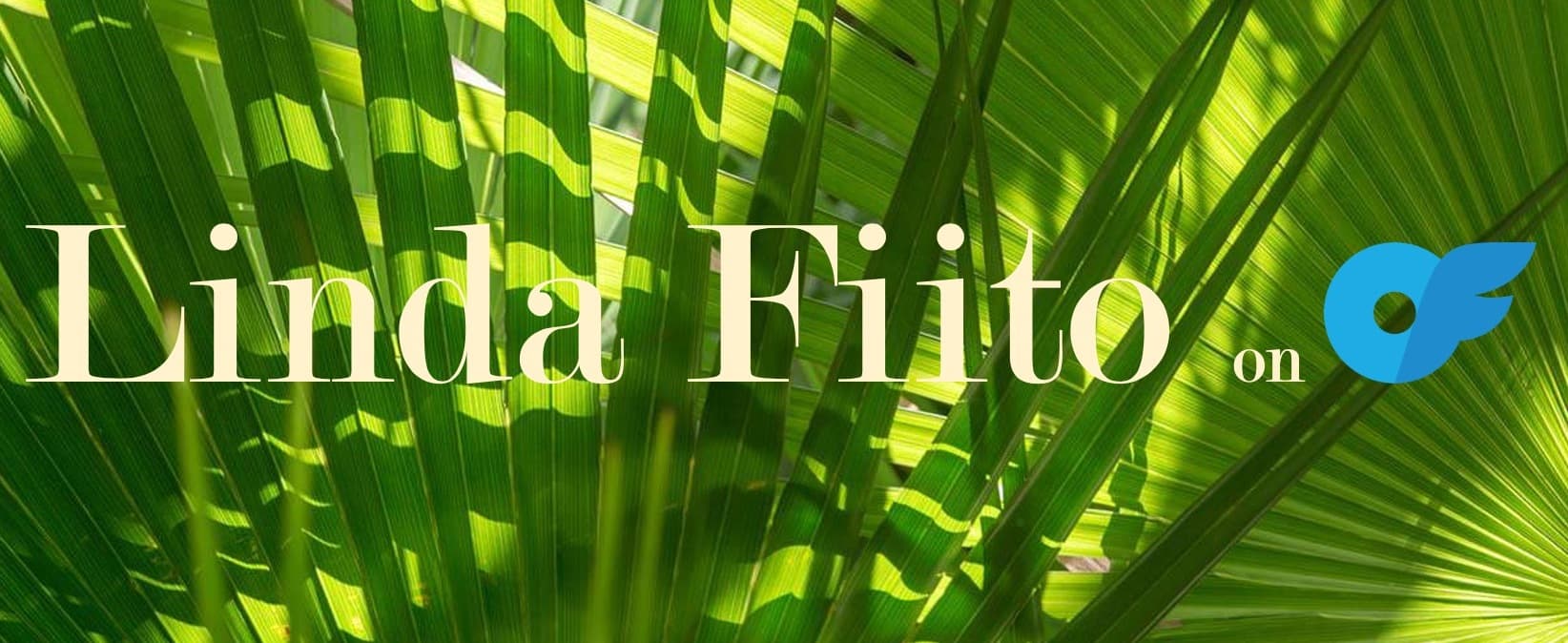 Linda Fiito banner image