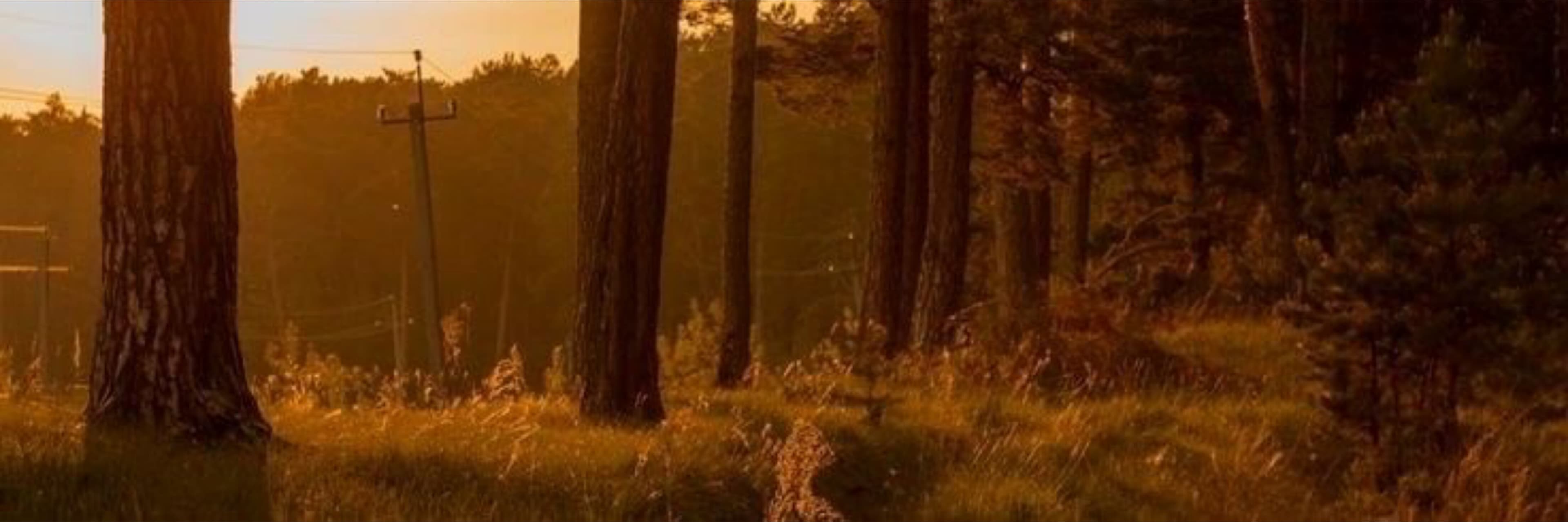 StrppyBrattafterdark๐โจ๐ banner image