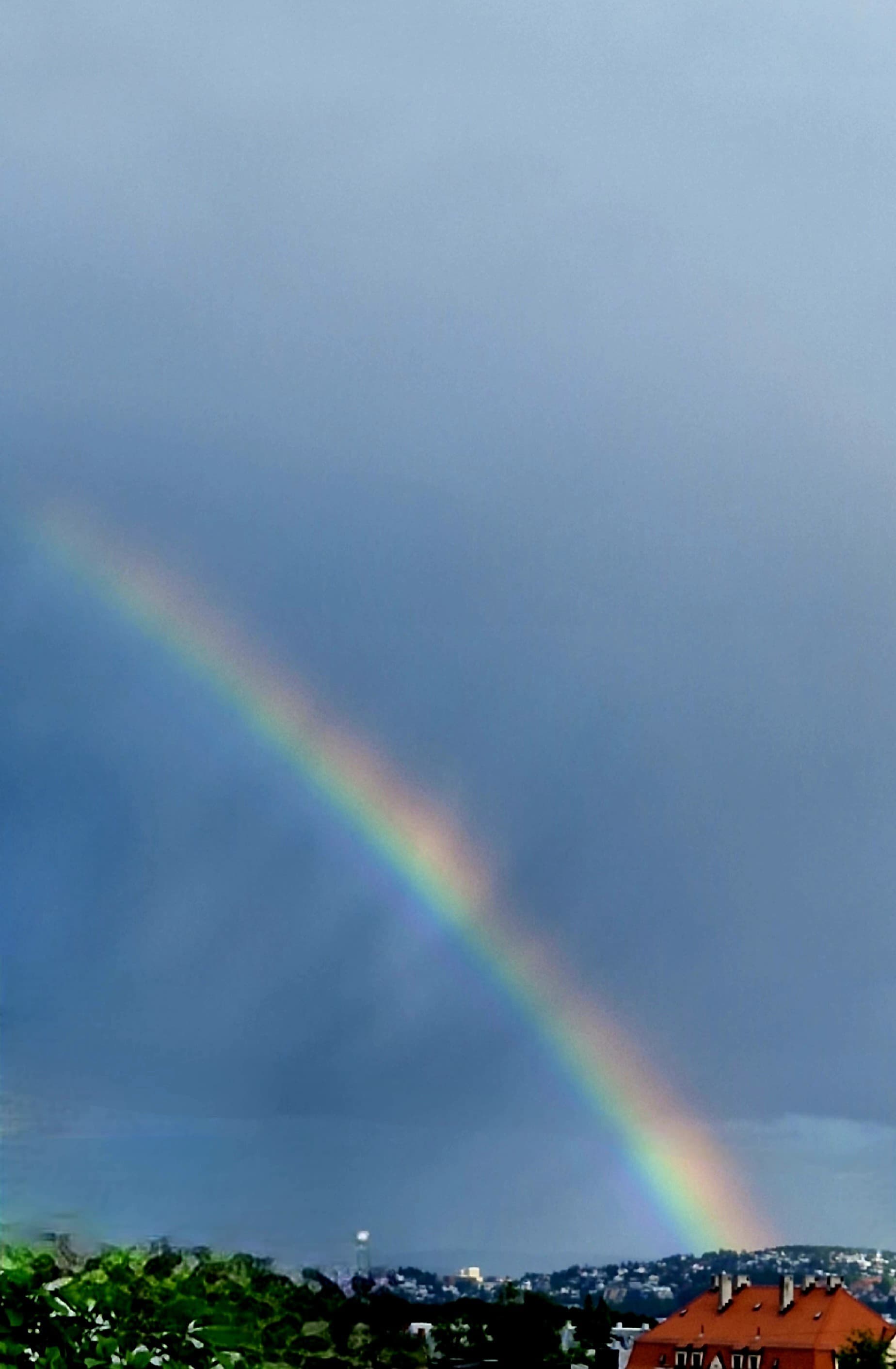 Eltinho banner image