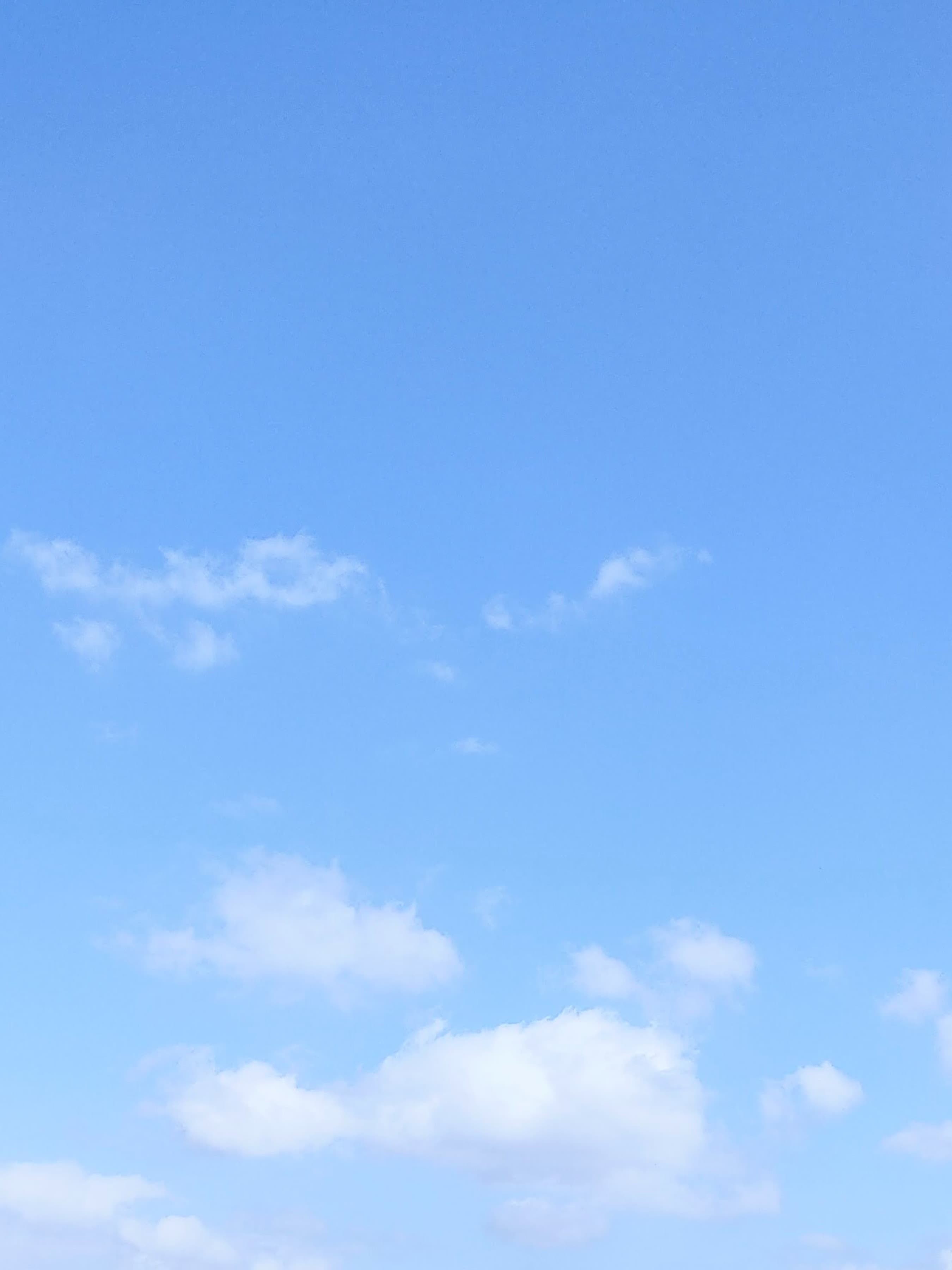 Leo1992886 banner image