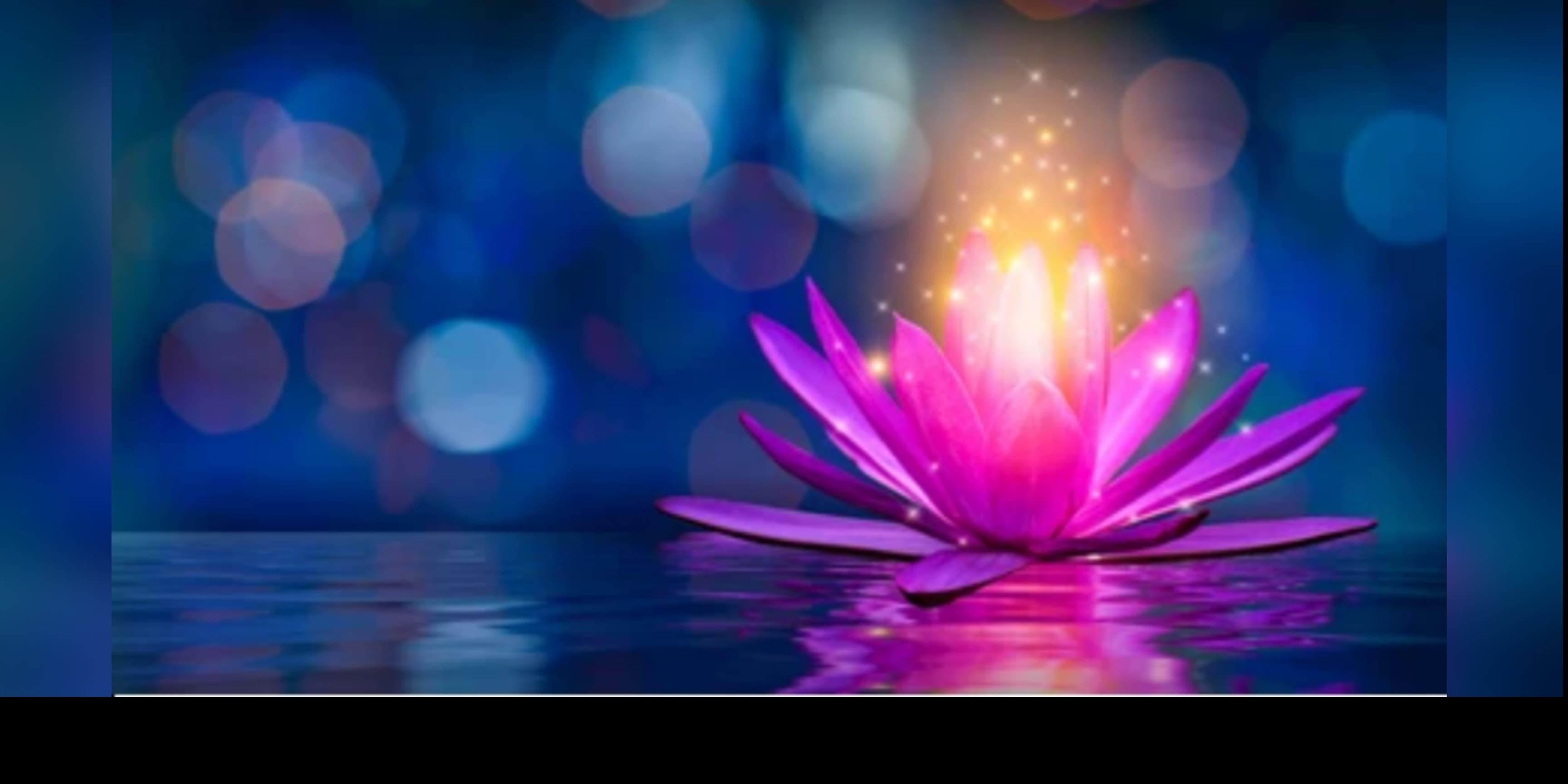 Lotus Love banner image