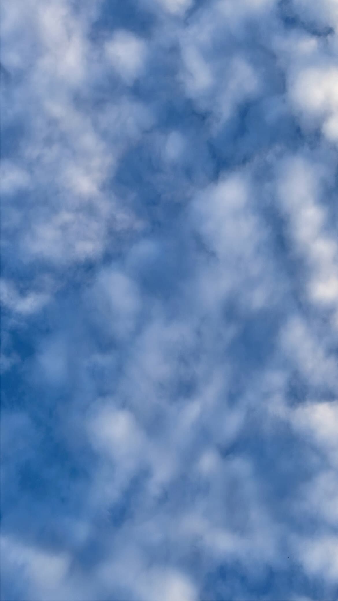 MV banner image