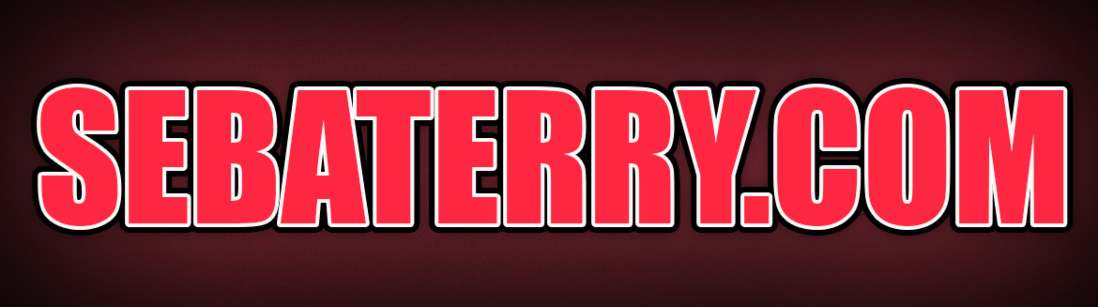 Seba Terry banner image