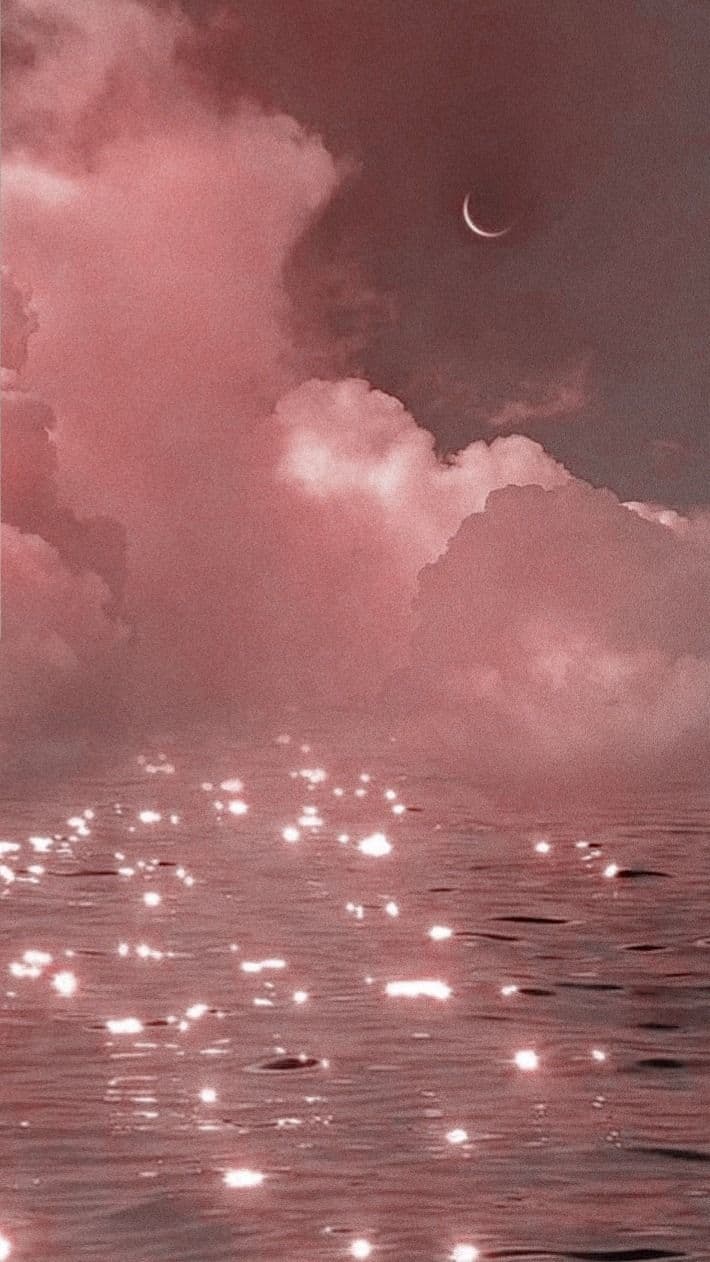 Rose π₯° banner image