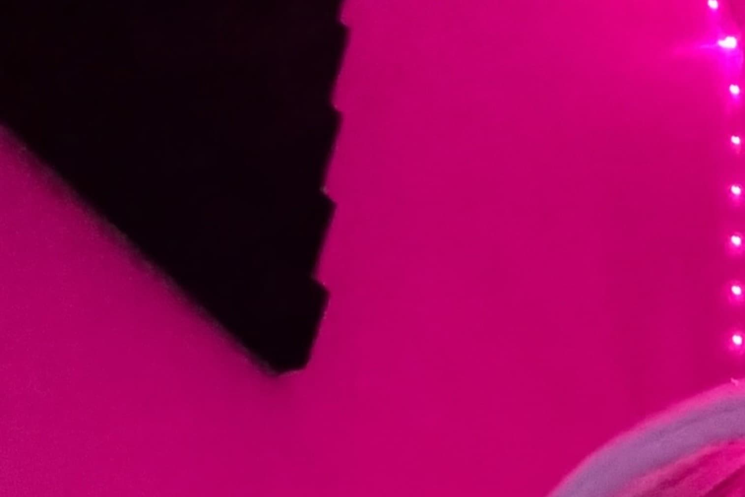 Angel🪽 banner image