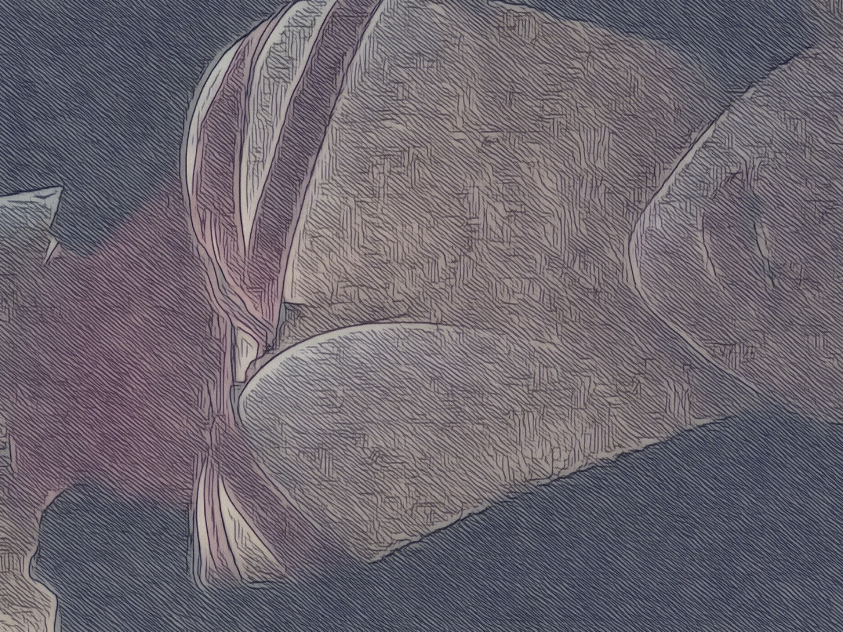 KPP banner image