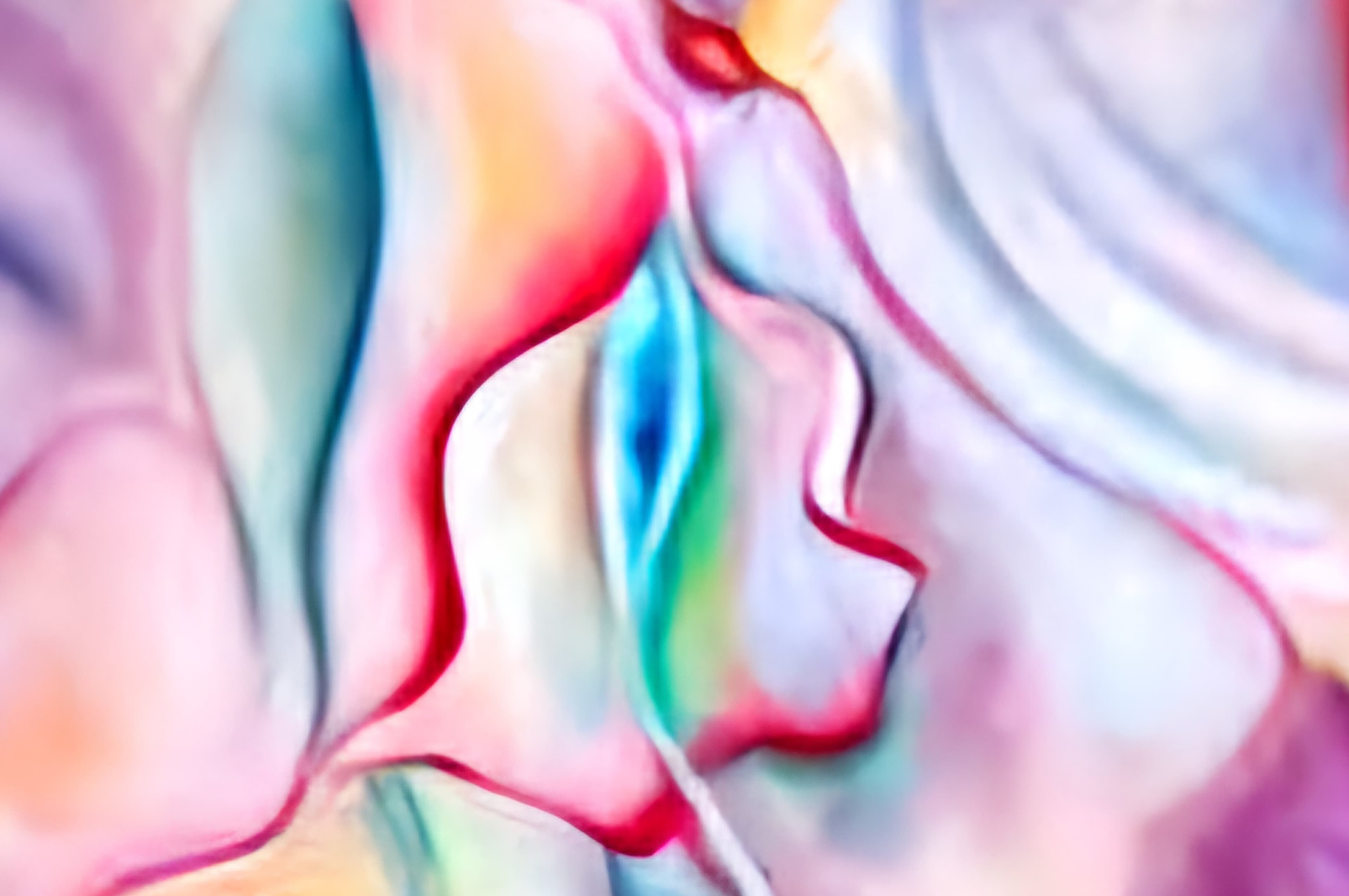 Pink Dahlia banner image