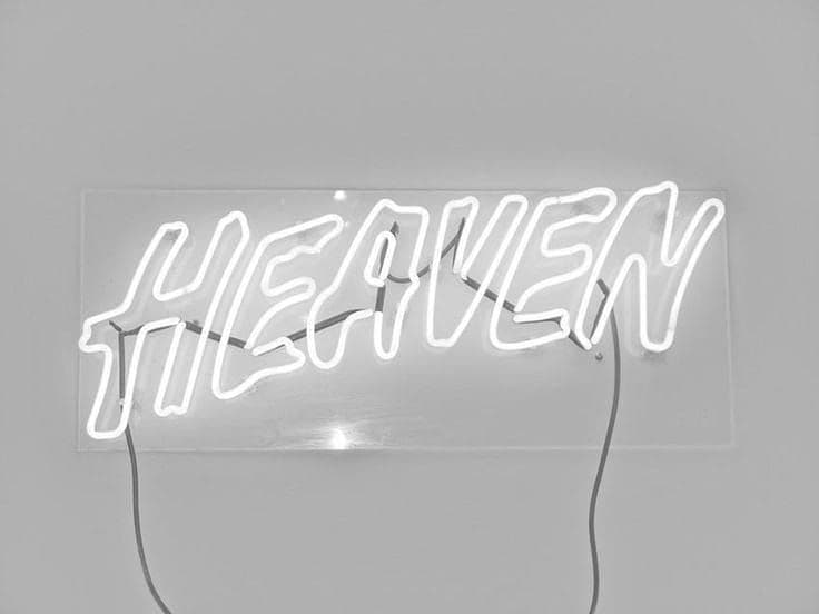 TheNxkedDoll🤍 banner image