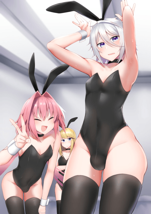 Wondybunns banner image