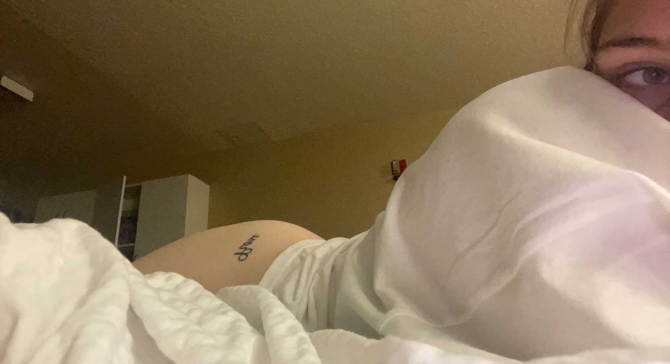 Snowbunny banner image