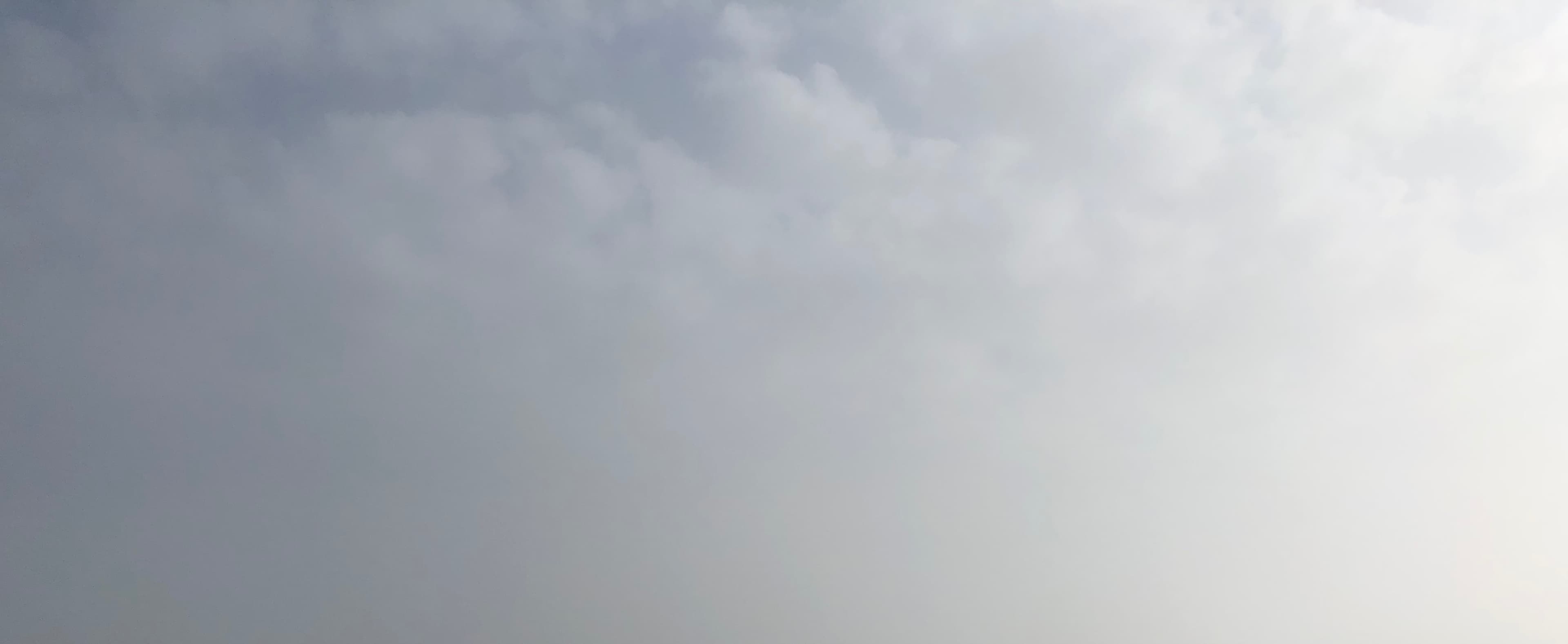 Goddess Zaila banner image