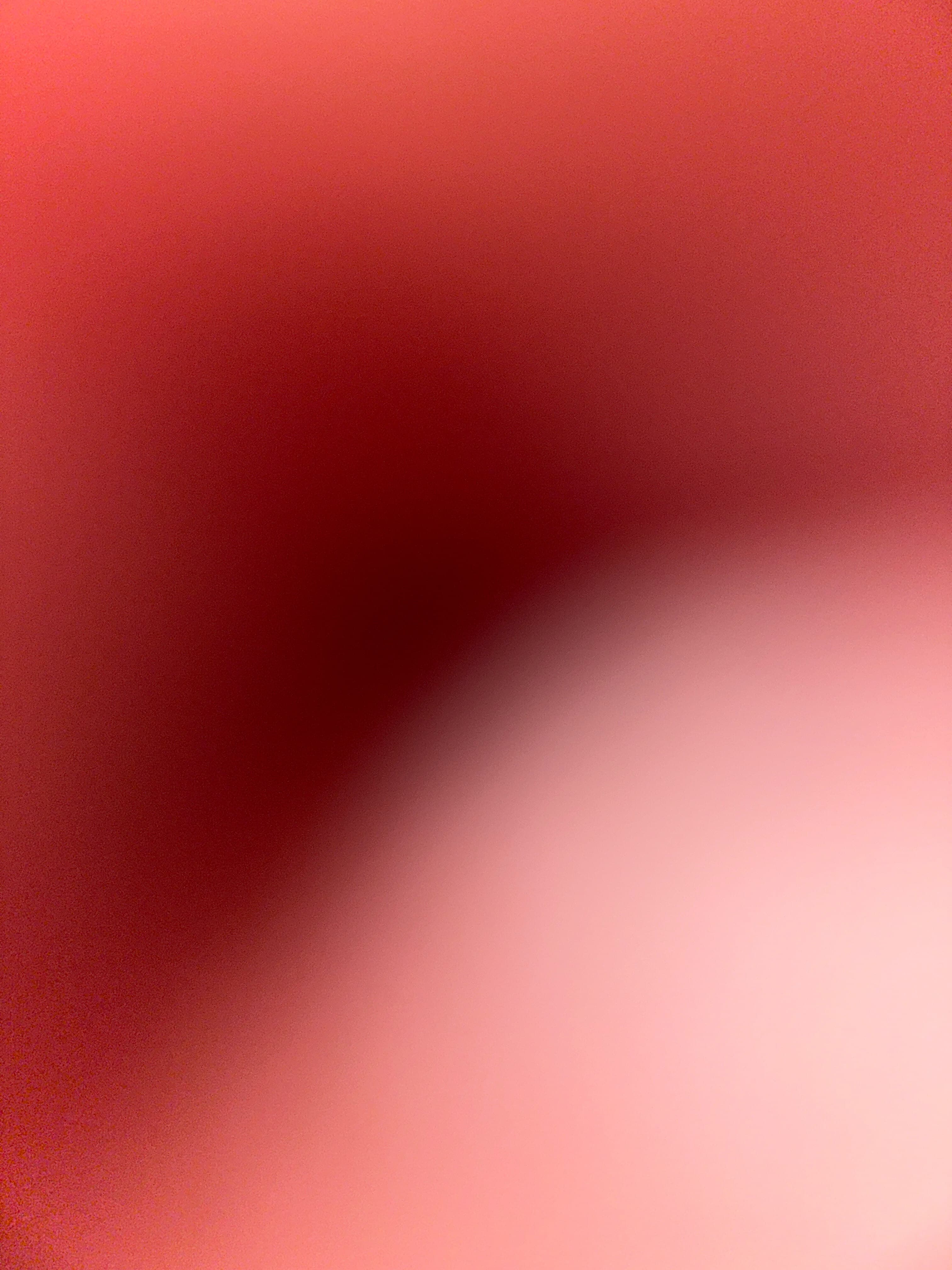 Tefy 𫦠banner image