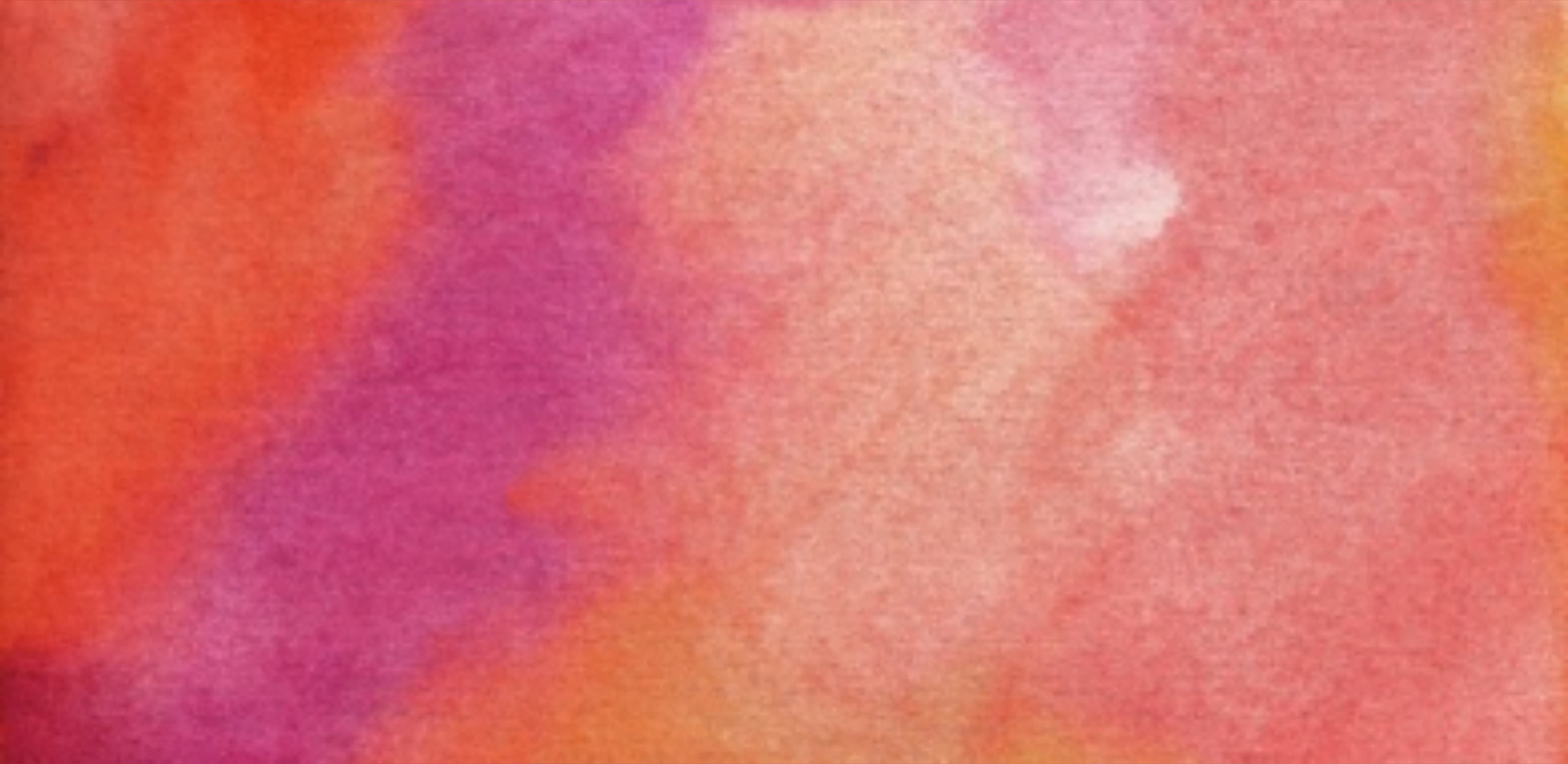 Carina Denai banner image