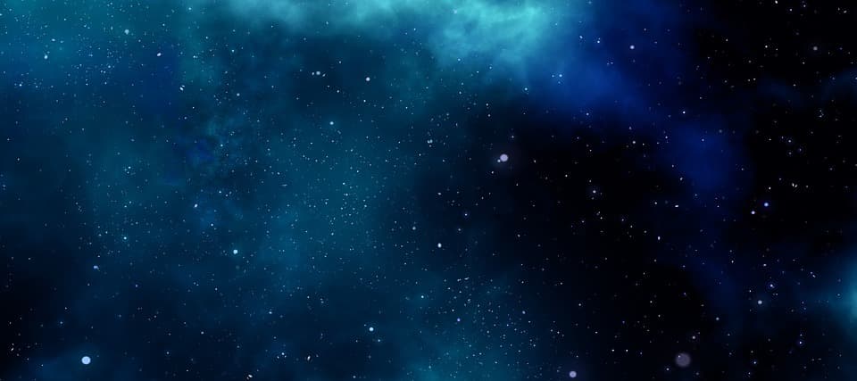 Wildly Vixen banner image