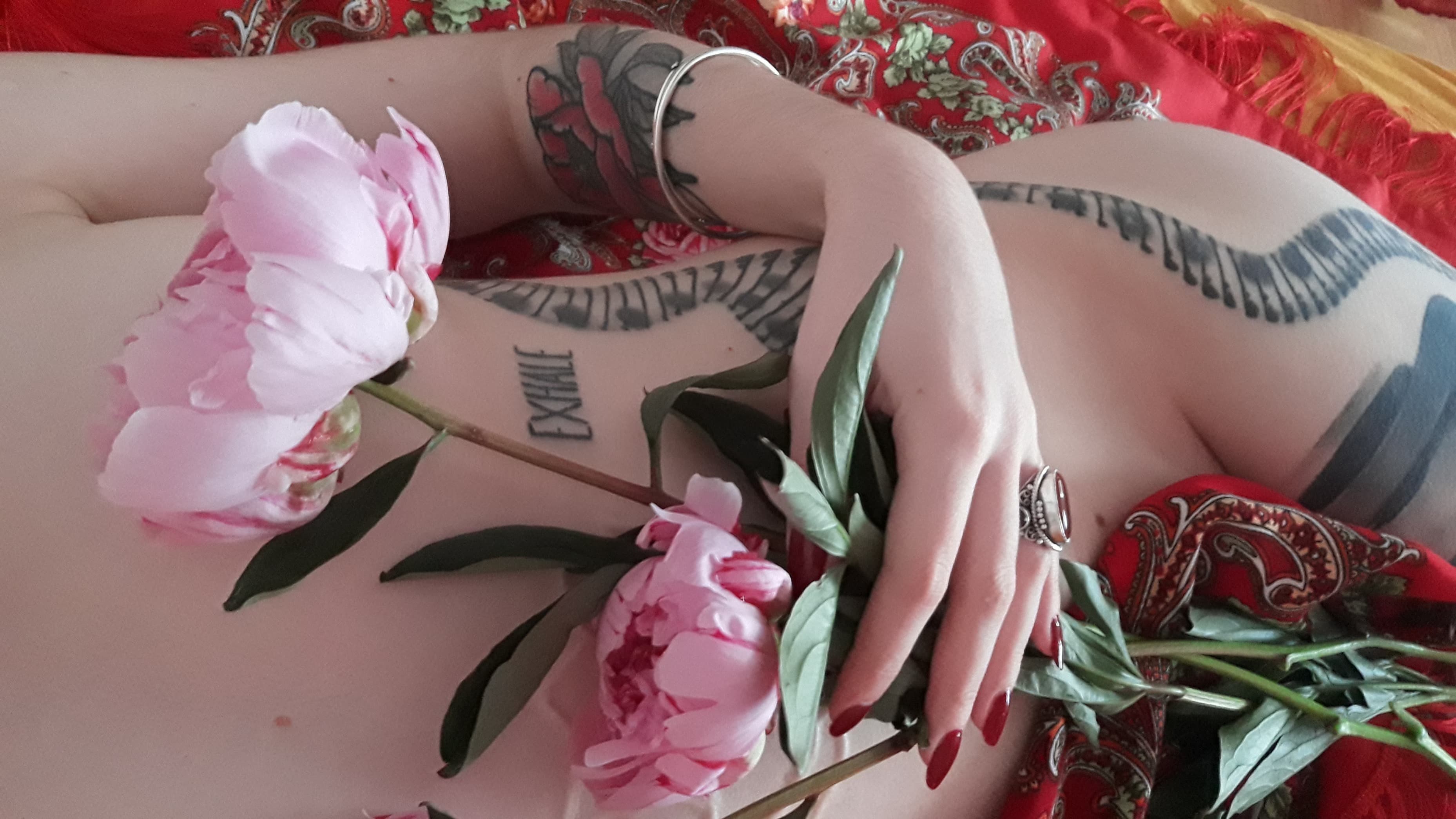 Jann π«π€π‘πͺπ₯π©ππ¨ banner image