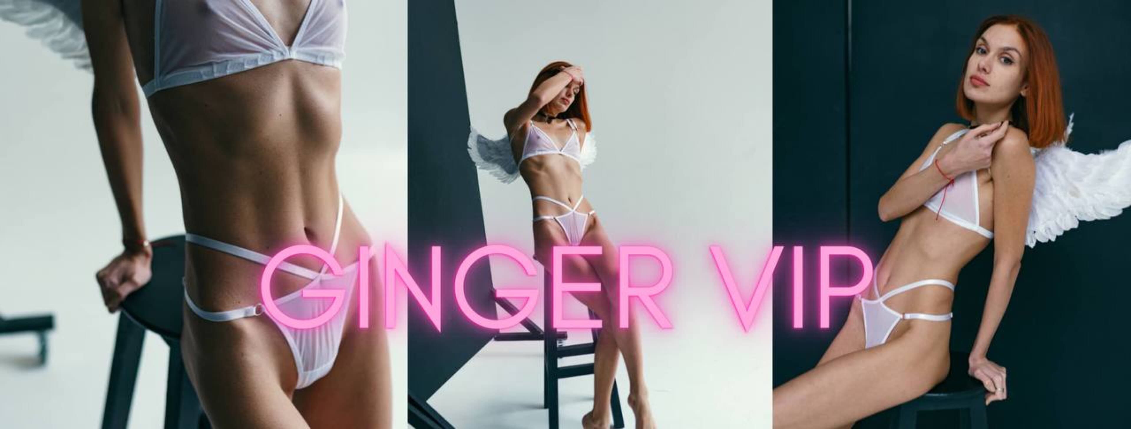 GingerViP banner image