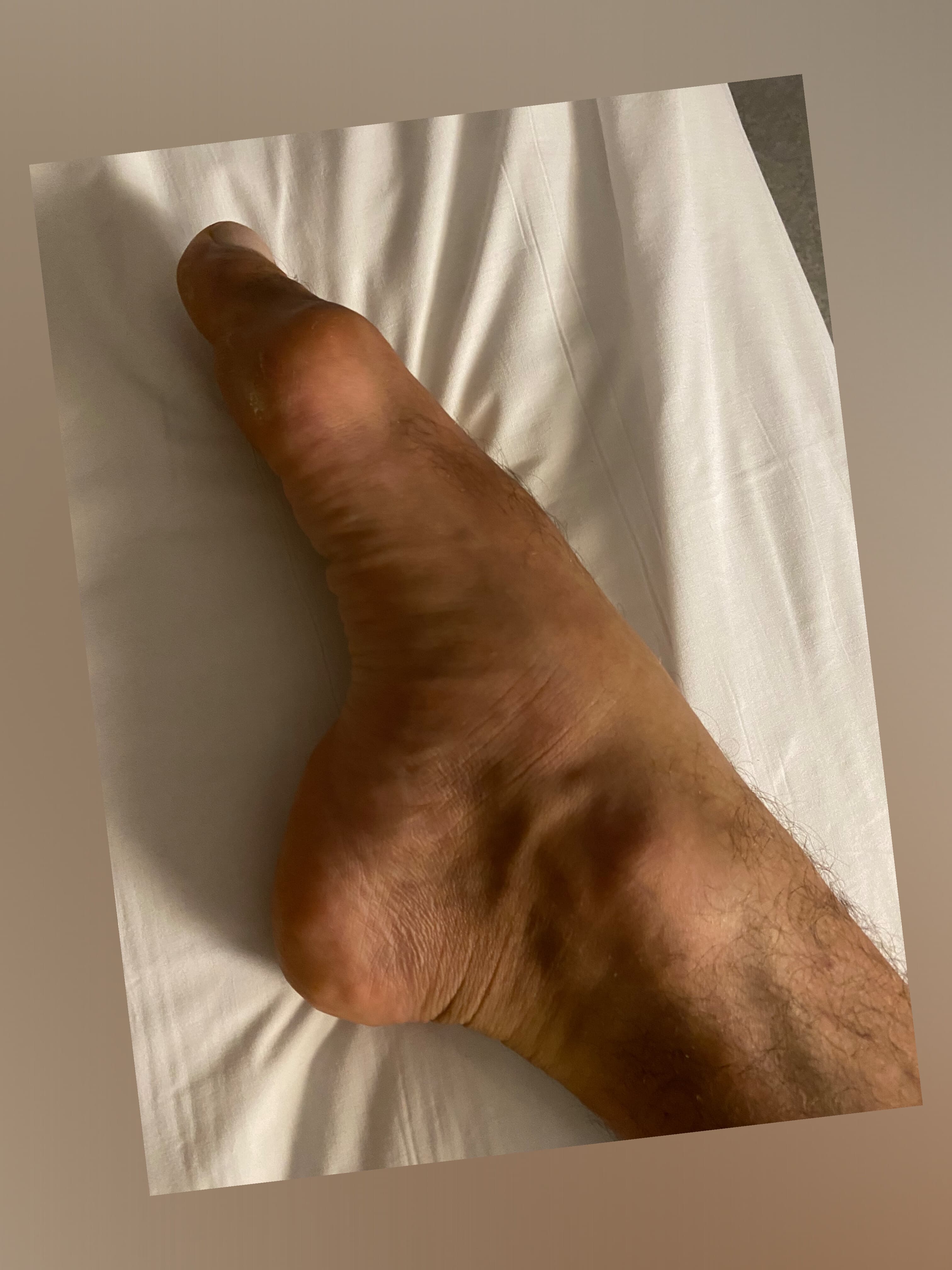 Paolo banner image