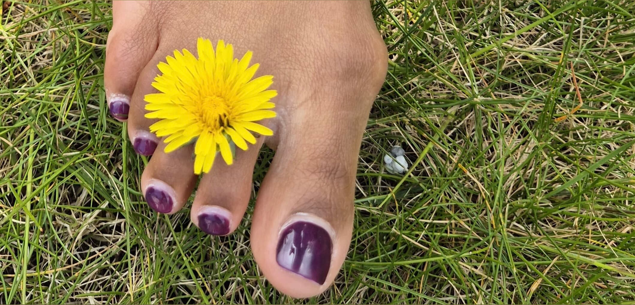 Twinkle Twin Toes banner image