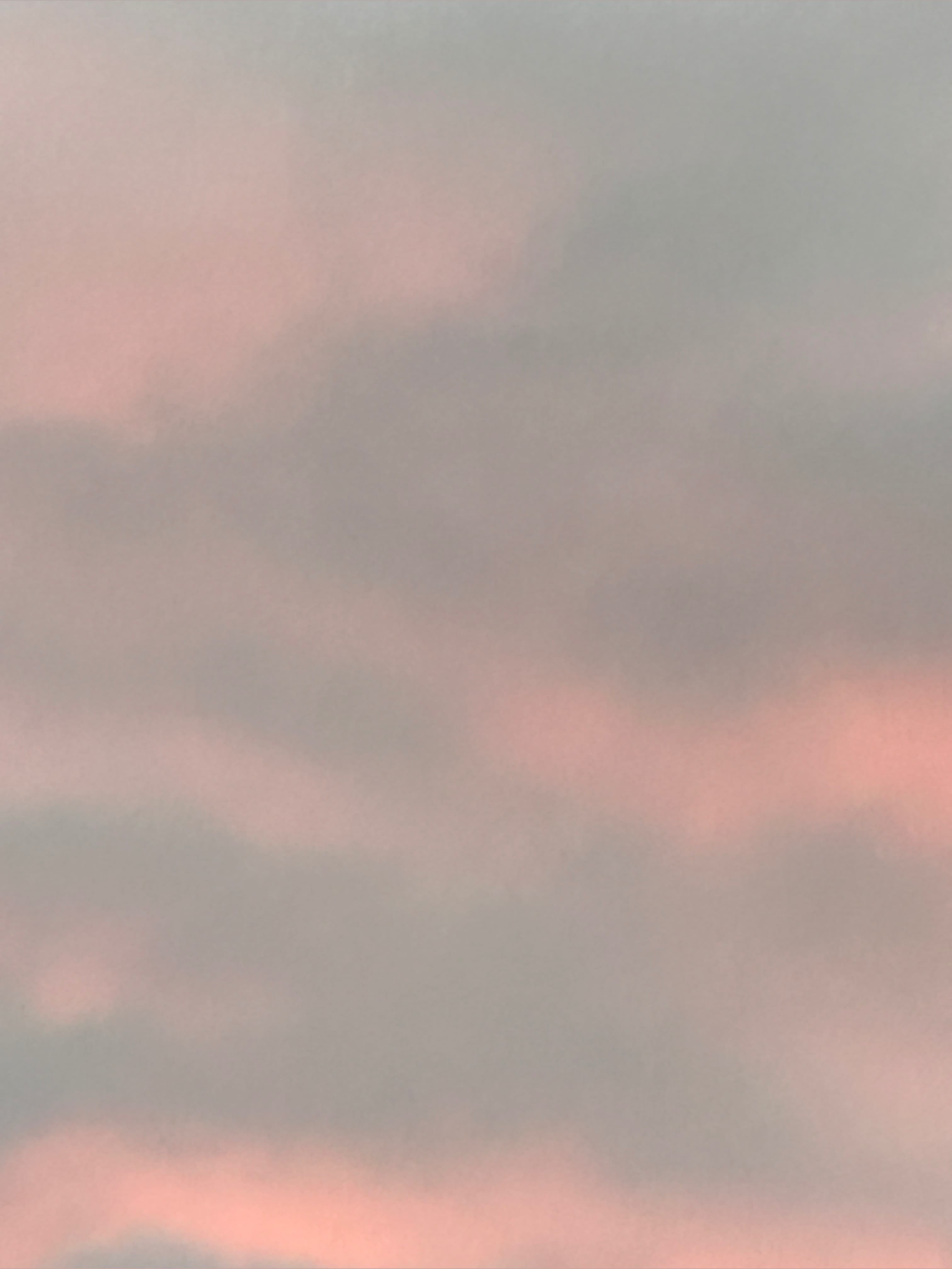 Octavia banner image
